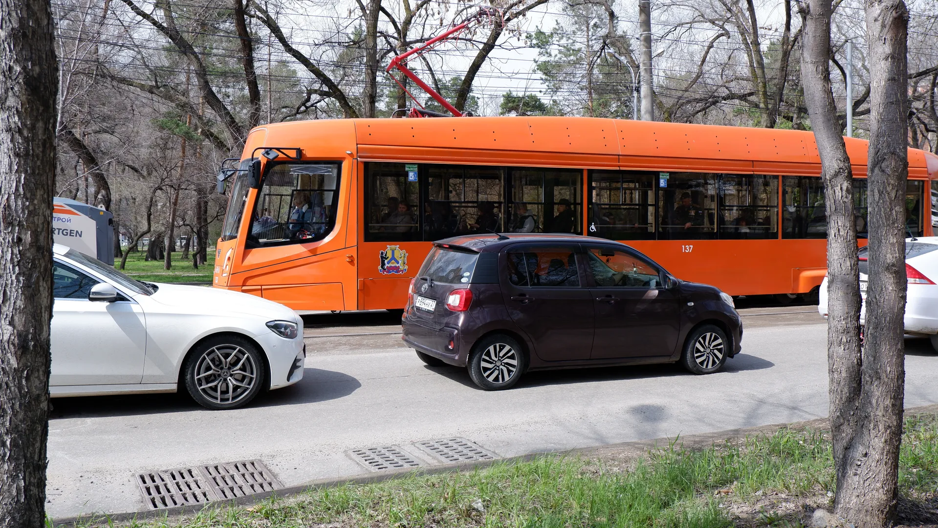 An orange bus is parked by the roadside with two cars in front of it. Power lines run above the bus, and trees are nearby. The ground is asphalt.