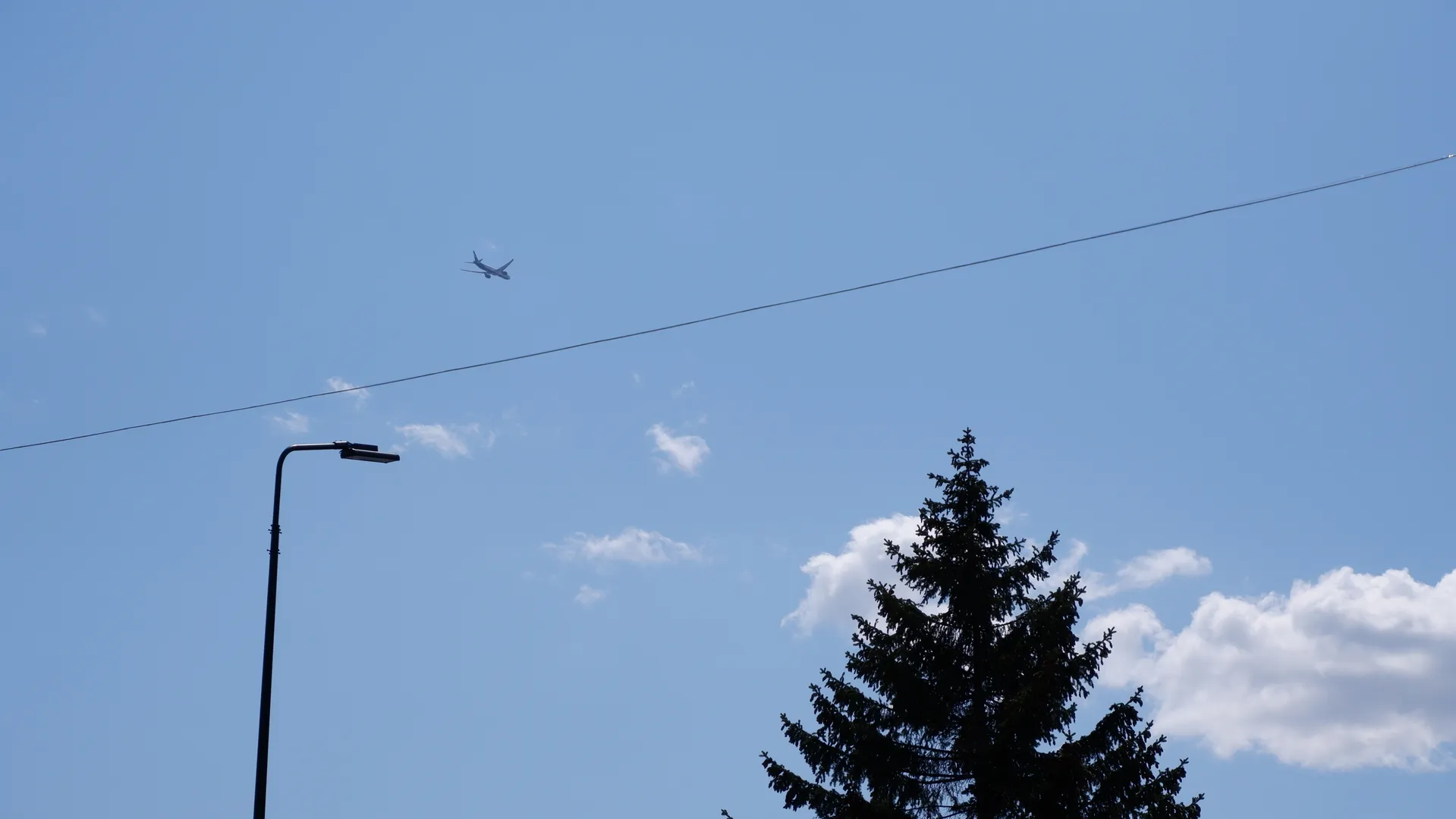 An airplane is flying in the blue sky, with a tall pine tree below. The plane is slightly to the left of center, with the body clearly visible. A power line crosses the scene, connecting to distant poles.