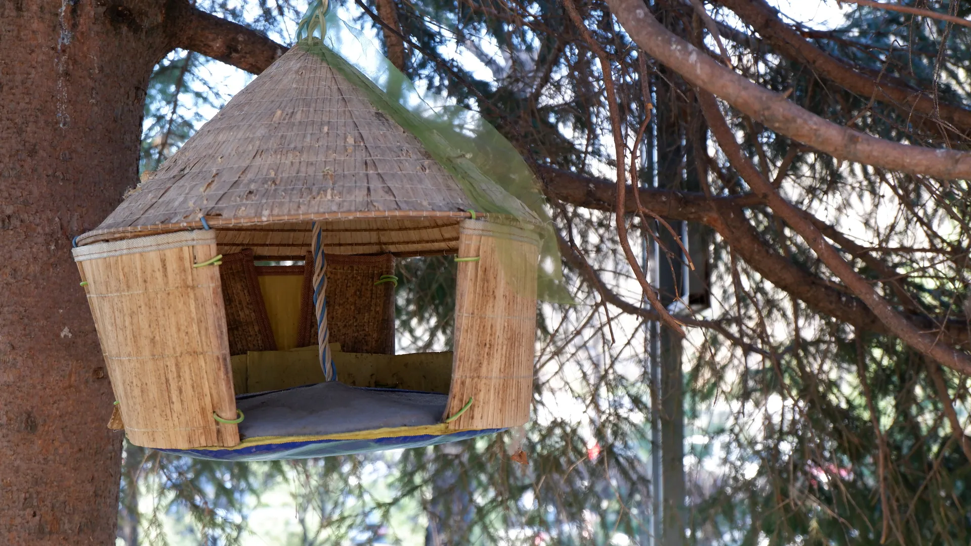 A woven birdhouse hangs from a tree. The birdhouse is cylindrical, with a conical top. It is made of bamboo strips, and its wooden structure is visible inside. Tree branches surround the birdhouse.