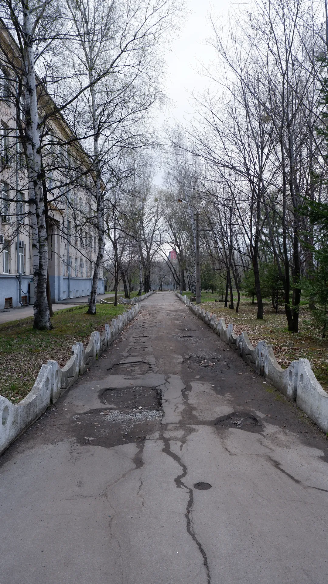 A narrow road is lined with leafless trees, and the surface has cracks and potholes. There is a white stone railing along the edge of the road. In the distance, some buildings can be seen.