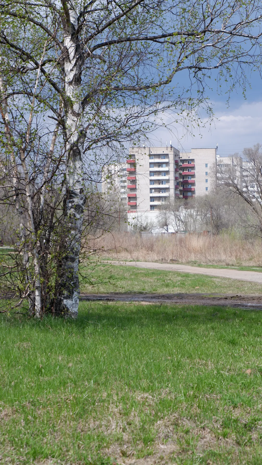 A high-rise building is in the background, with a meadow and several trees in the foreground. The building has multiple floors, with neatly arranged windows and a light-colored exterior wall. The sky is clear with sparse clouds.