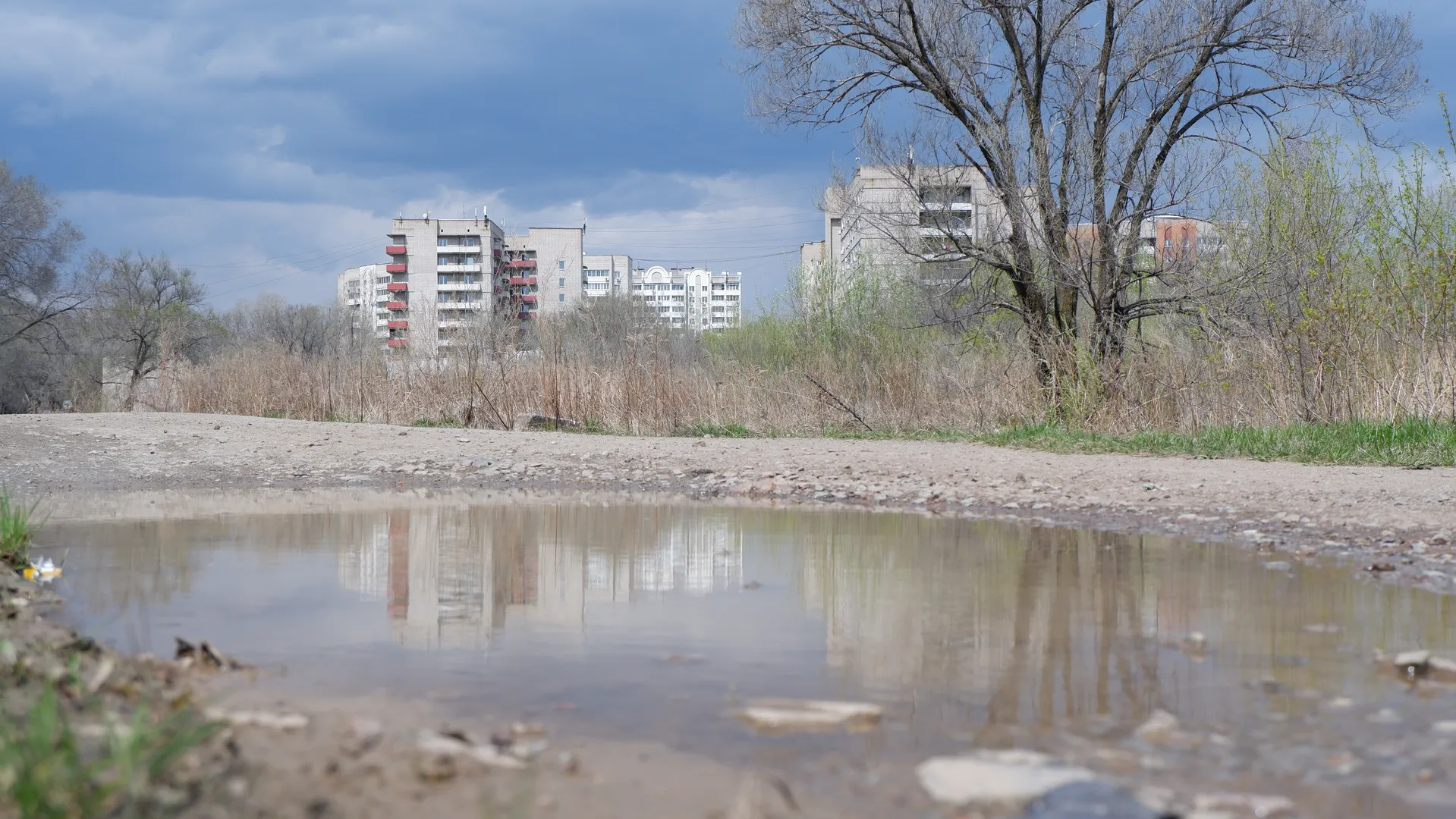 A puddle reflects the surrounding scene, including distant multi-story buildings and trees. The edge of the puddle is muddy, with some dry grass and green grass around it. The sky has thick clouds, and the light is soft.
