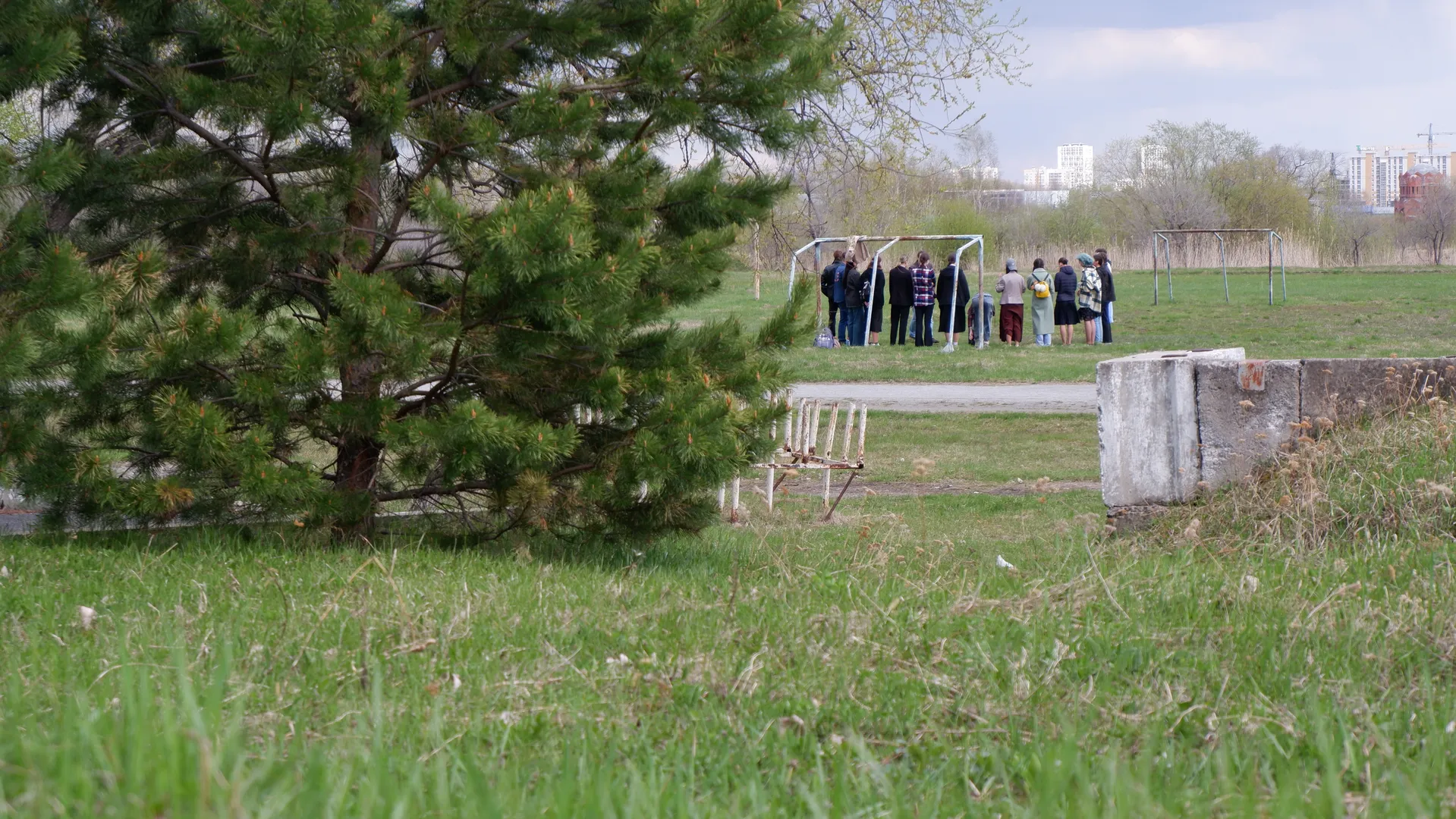 A group of people stands on the meadow, with a football goalpost in front of them. A pine tree is in the foreground, and the background shows city buildings and the sky. The ground is covered with green grass.