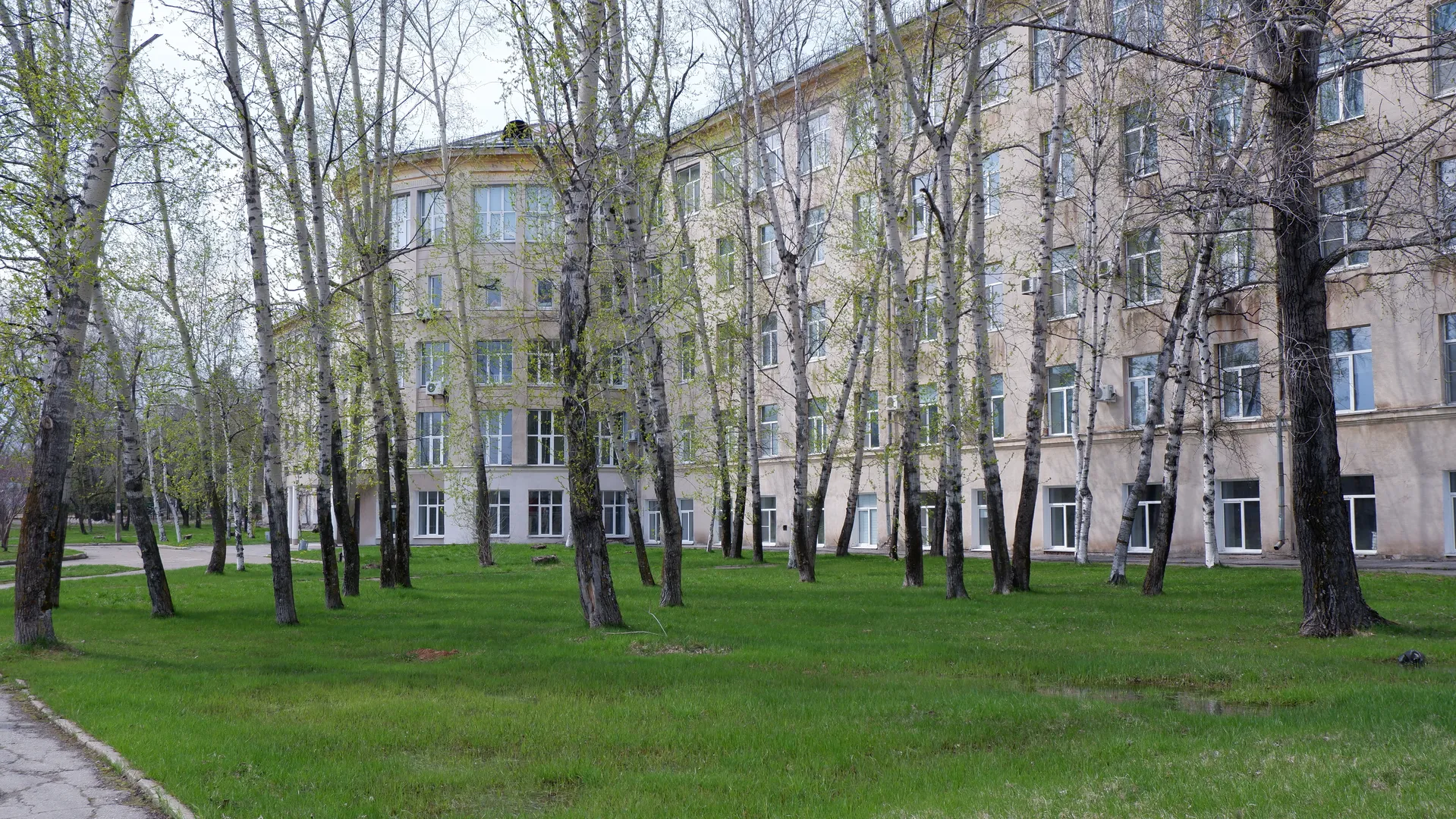 In front of a multi-story building, there are neatly arranged trees and lawns. The building has a light-colored exterior with neatly arranged windows. A small path runs through the lawn towards the building.