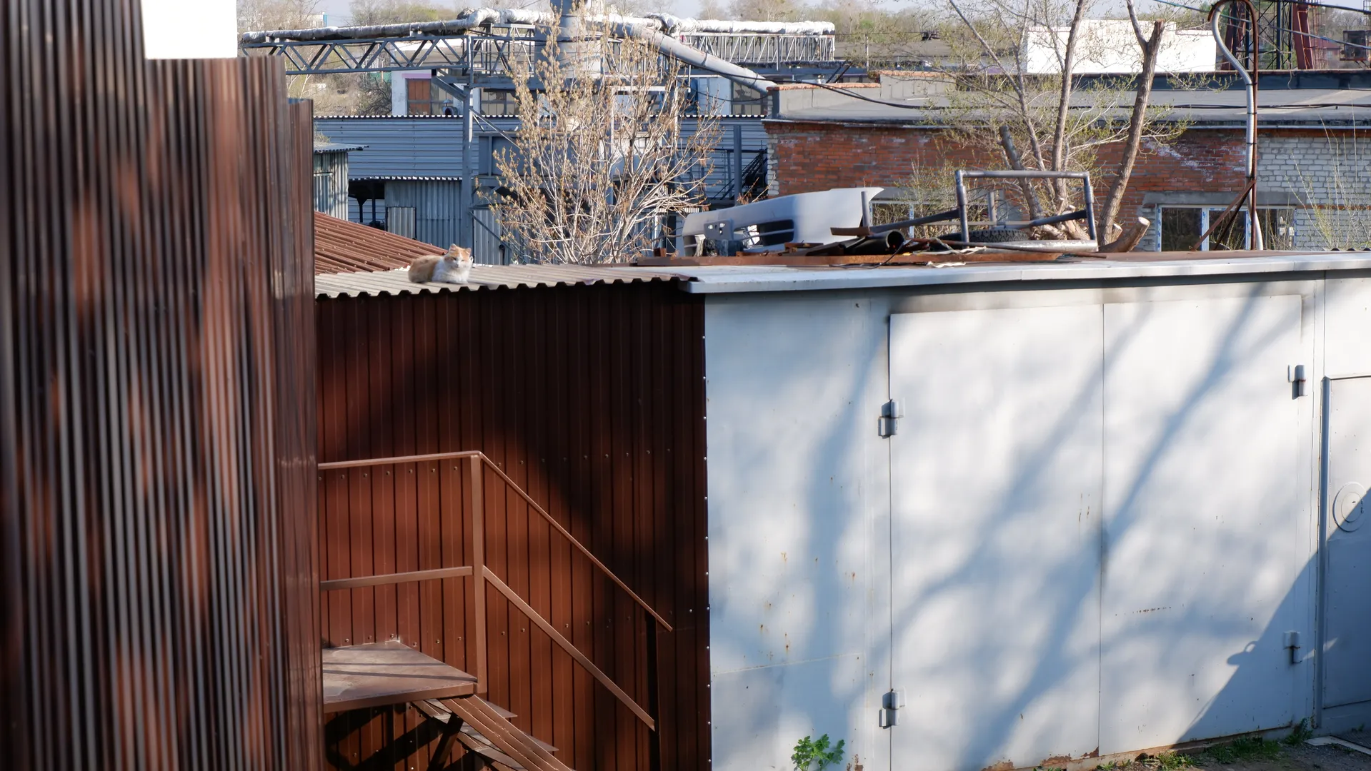 A cat sits on the roof of a building made of metal panels. Nearby is a metal staircase, and the building has white walls. In the background, there are industrial facilities and trees.