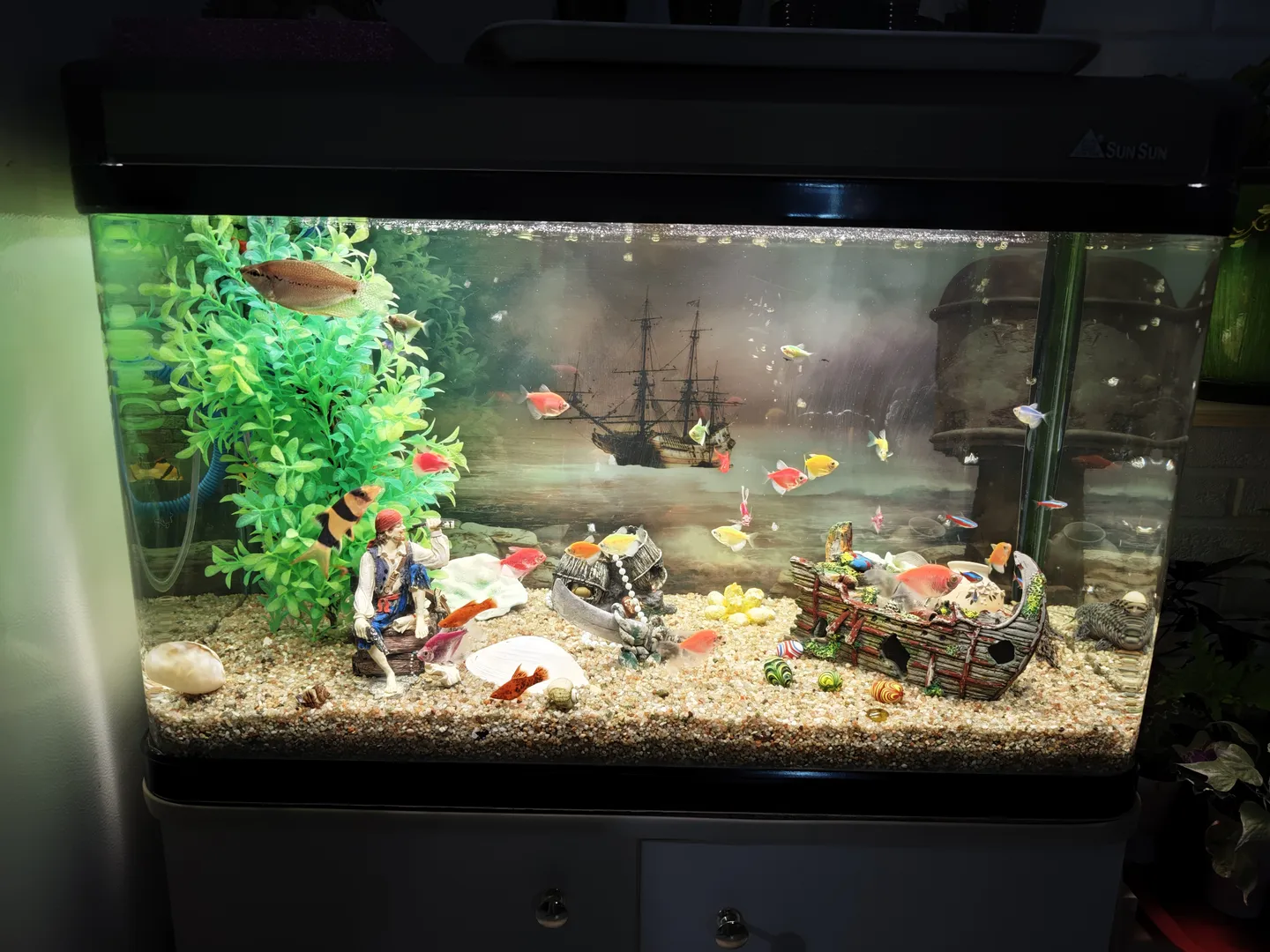 A beautifully decorated fish tank containing various fish and aquatic plants. The bottom is covered with fine sand. The tank also features a pirate ship model and figurines. The background is an indoor environment.