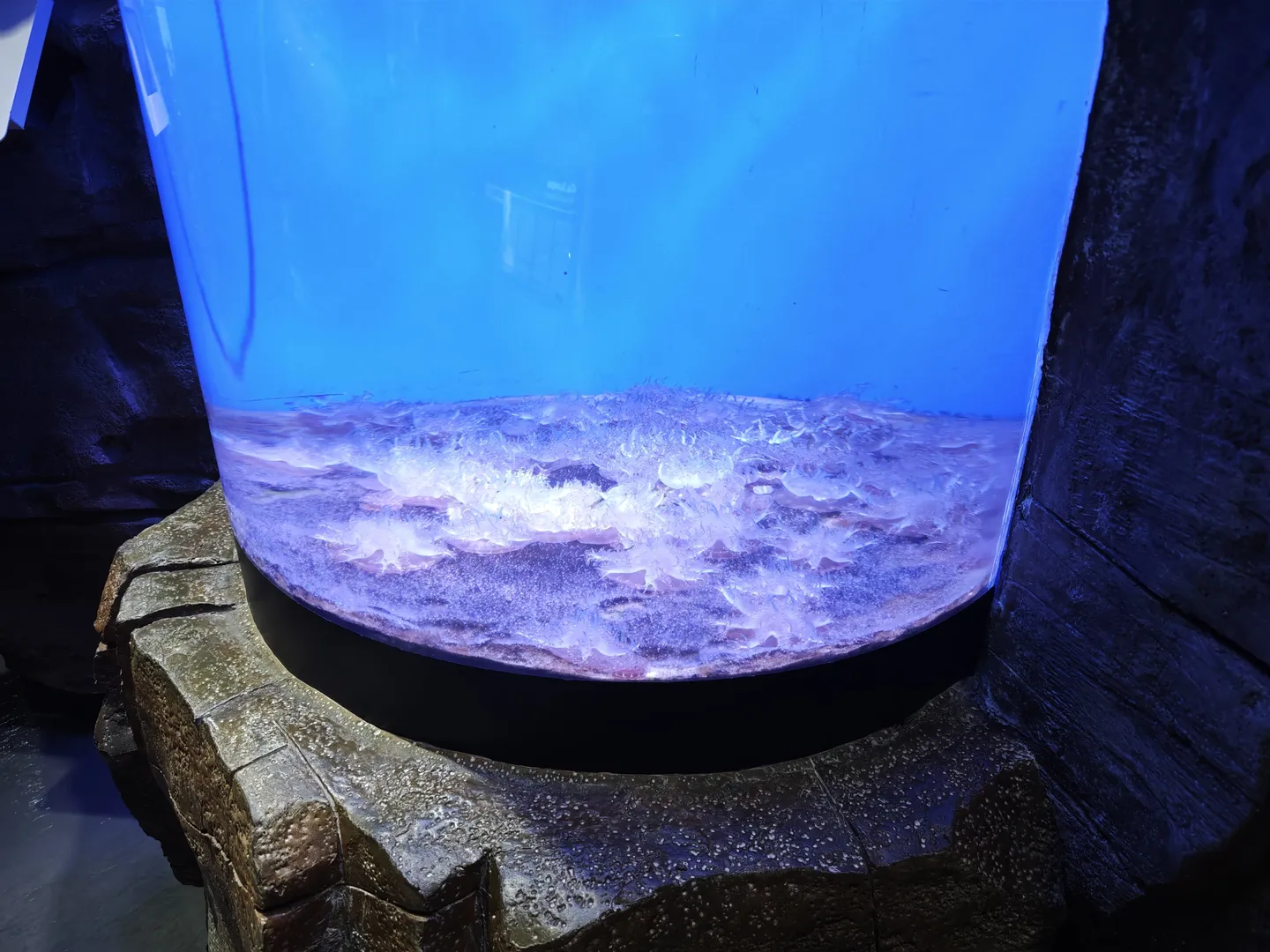 A circular display tank contains glowing blue liquid and ice-like objects. The display tank is placed on a stone pedestal. The surrounding environment is dark, highlighting the glow within the tank.