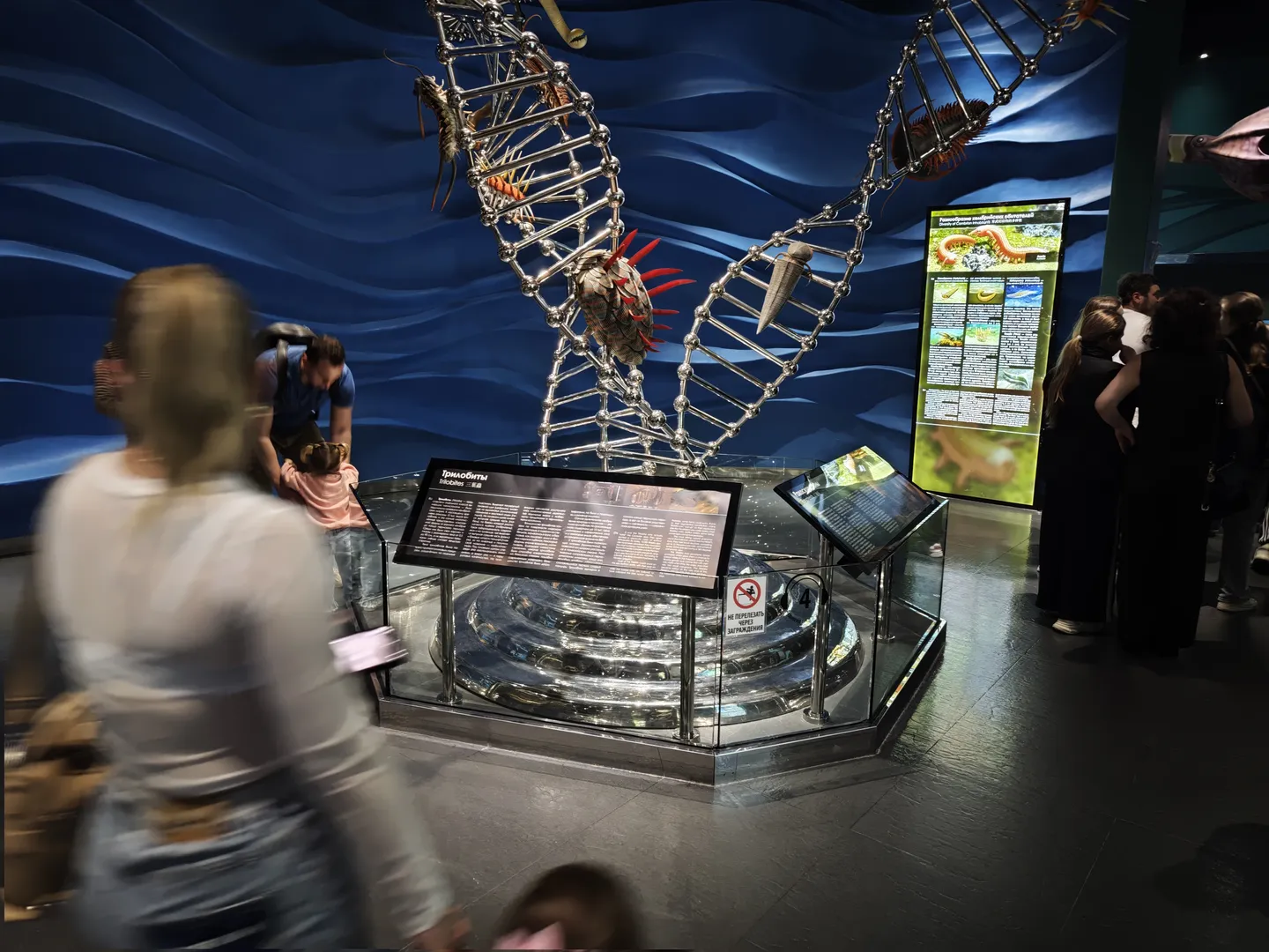 Inside the museum, there is a large spiral structure exhibit. Beside it, there is an information board introducing the content. The background wall has a deep blue wave pattern. Above it, model organisms are hanging. Several visitors are stopping to watch in front of the exhibit.