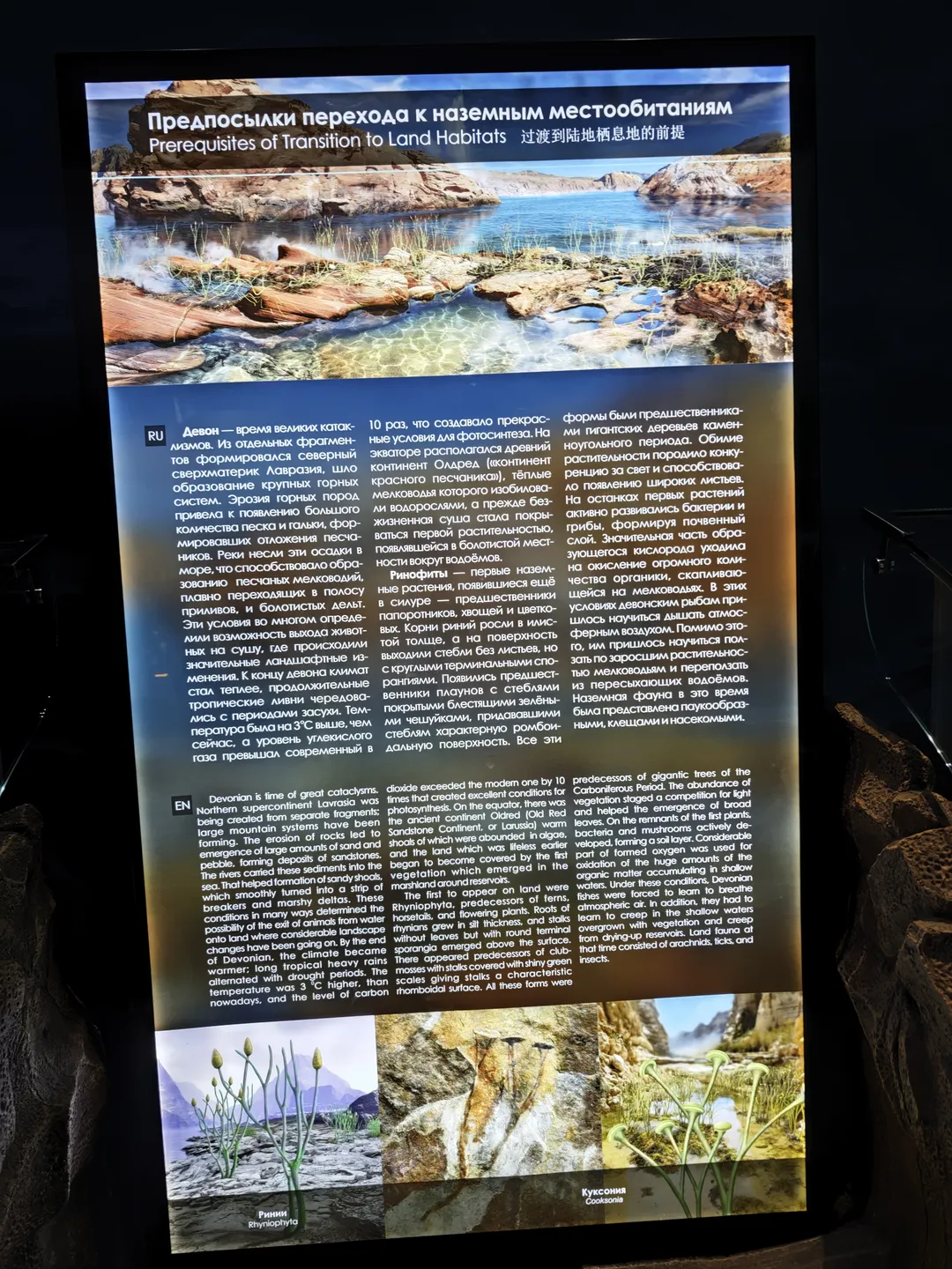 The prerequisites for the transition to terrestrial habitats, the display panel introduces the impact of environmental changes during the Devonian period on organisms, including the adaptive evolution of vegetation and animals. Beneath are illustrations of plants and early terrestrial animals.