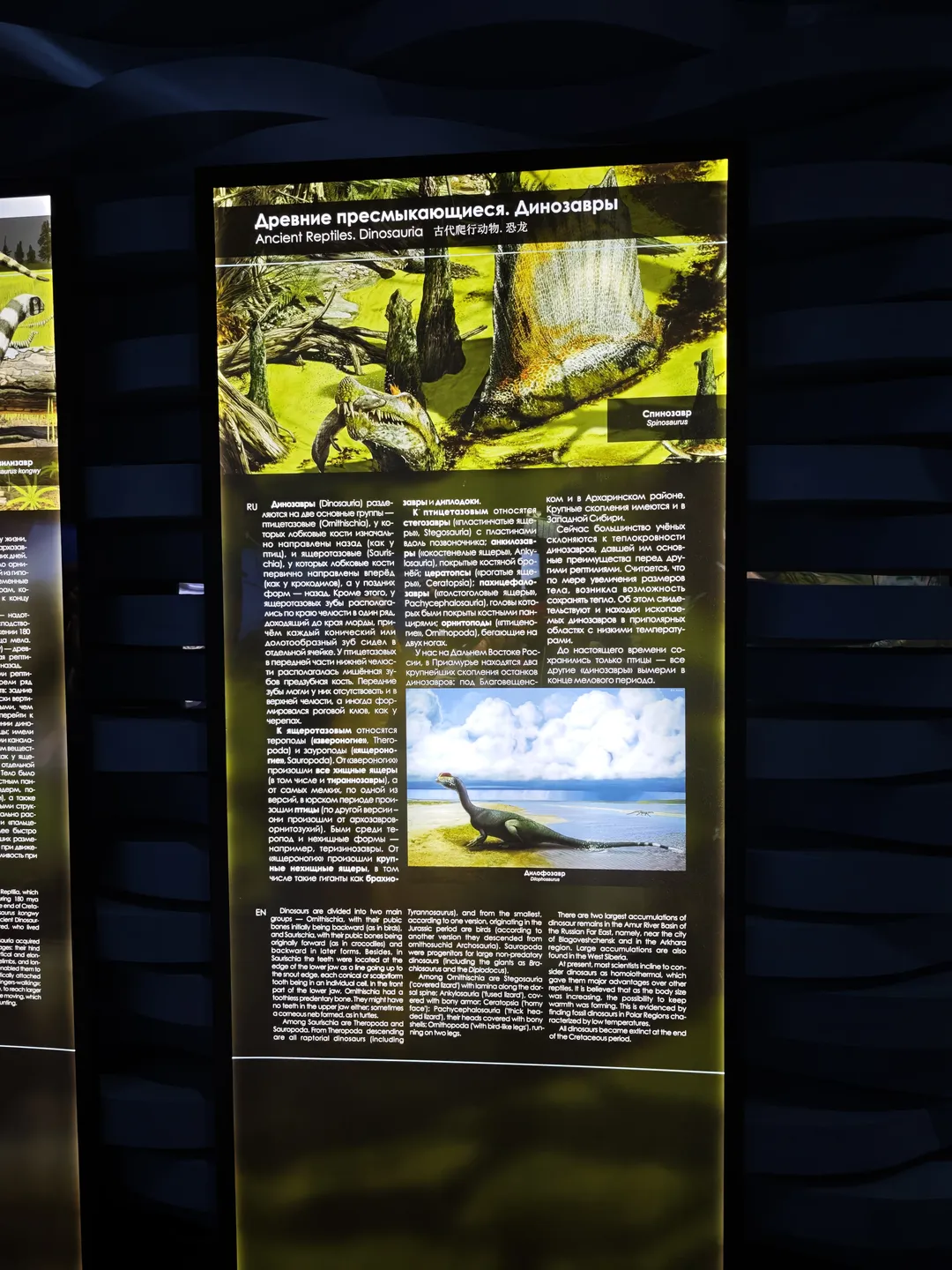 An introduction to ancient reptiles and dinosaurs, showcasing the classification of dinosaurs and their characteristics, including Theropoda and Sauropoda, and mentioning two large dinosaur fossil discovery sites. In the bottom right corner, there is an illustration of a dinosaur walking by the water’s edge.