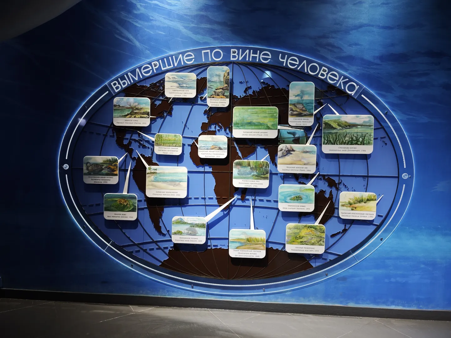 A circular display board with the theme “Extinct by Human Hands” displays pictures and names of species that have gone extinct due to human activities around the world. The background of the display board is a blue ocean pattern.