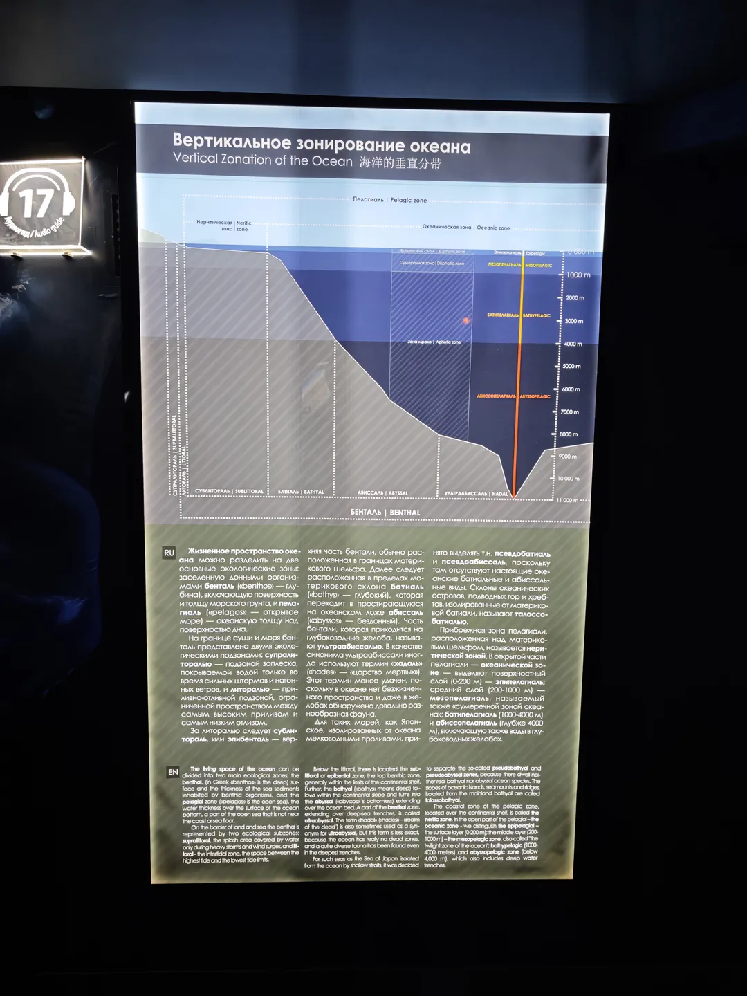 Vertical zonation diagram of the ocean, divided into multiple zones with depth labeled. The diagram explains the characteristics of biological distribution in different depth zones, with detailed textual descriptions on the right.