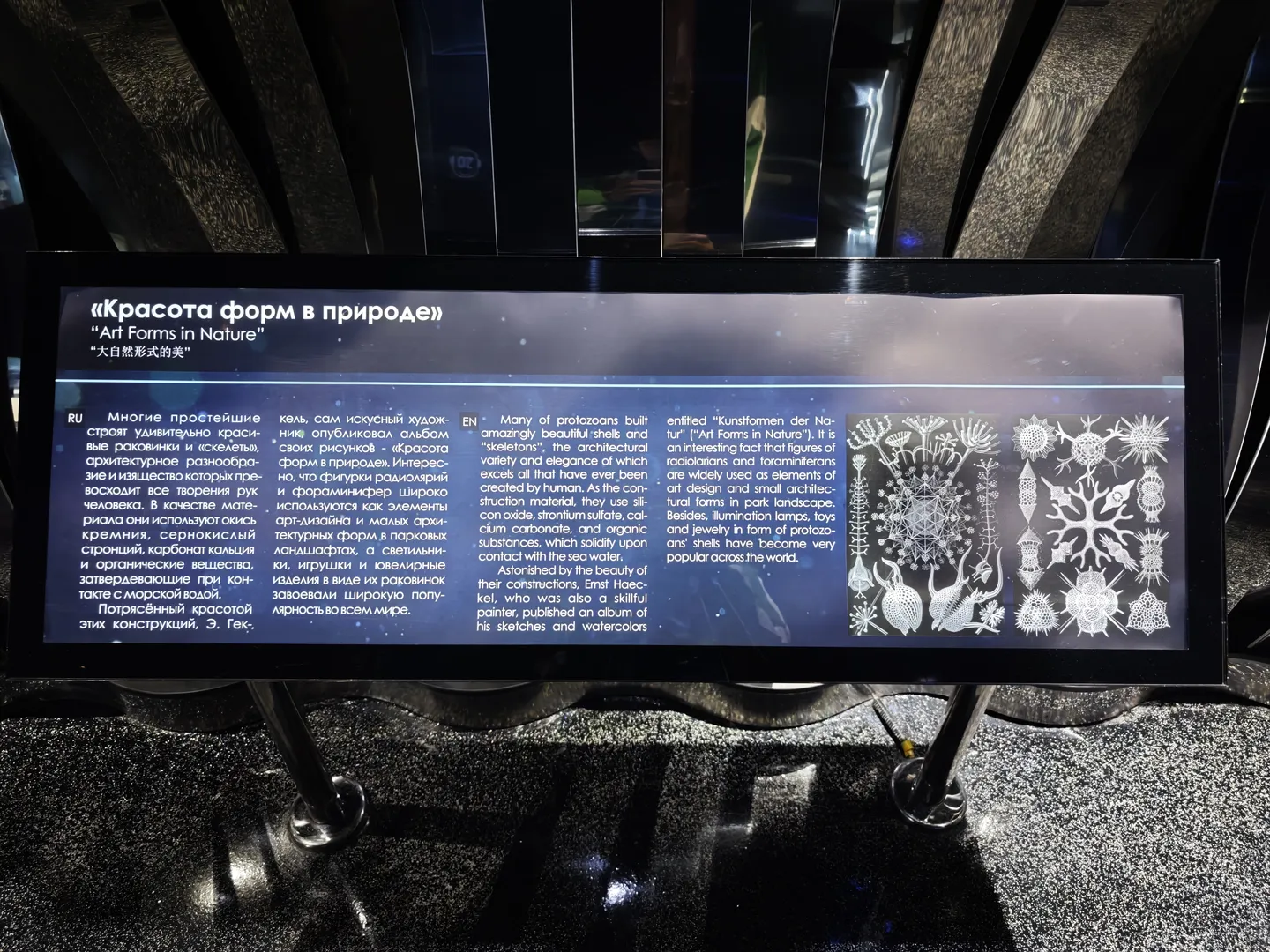 The screen displays “Art Forms in Nature”, introducing the beauty of forms in nature. On the right, various microbial patterns are displayed. The text on the left explains the architectural diversity and complexity of these forms, composed of substances such as silicon and strontium sulfate.