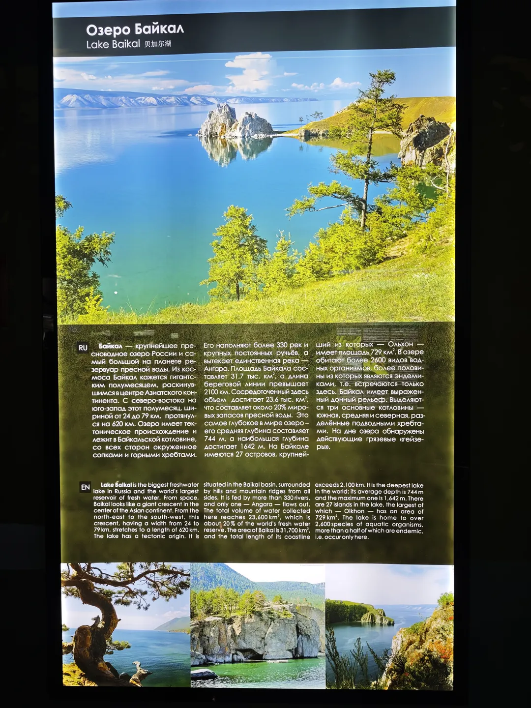 The introduction to Lake Baikal showcases the natural scenery by the lake, including clear lake water and lush vegetation. The text describes in detail the geographical features of Lake Baikal, such as area, depth, and number of islands. Lake Baikal is one of the oldest lakes on Earth, and possesses numerous endemic species of flora and fauna.