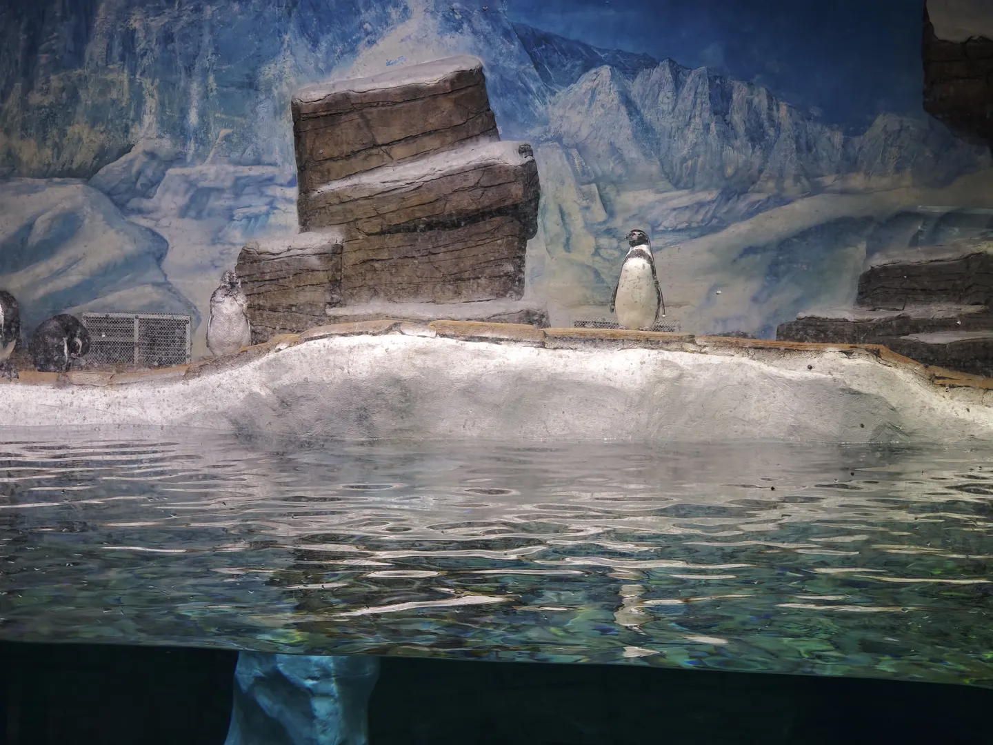 In the aquarium exhibition area, a penguin stands on the edge of a rock, with the background being a simulated Antarctic mountain range. The water surface is calm, reflecting the surrounding light. Another penguin is swimming in the water.