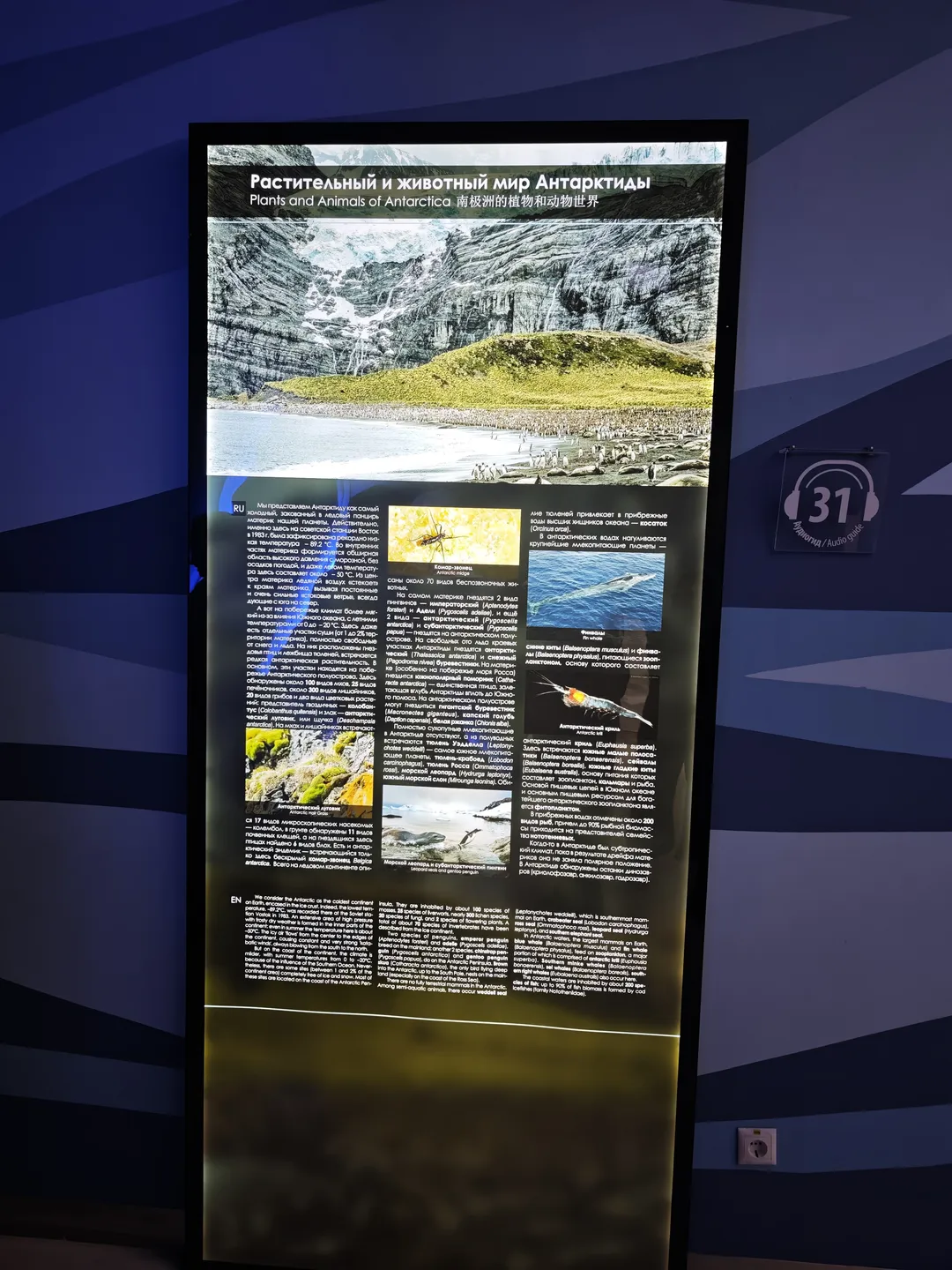 The information board introduces the plant and animal world of Antarctica. At the top, there is a landscape picture of Antarctica. On the board, there are multiple small pictures showing different organisms. The text describes the ecosystem and biodiversity of Antarctica.