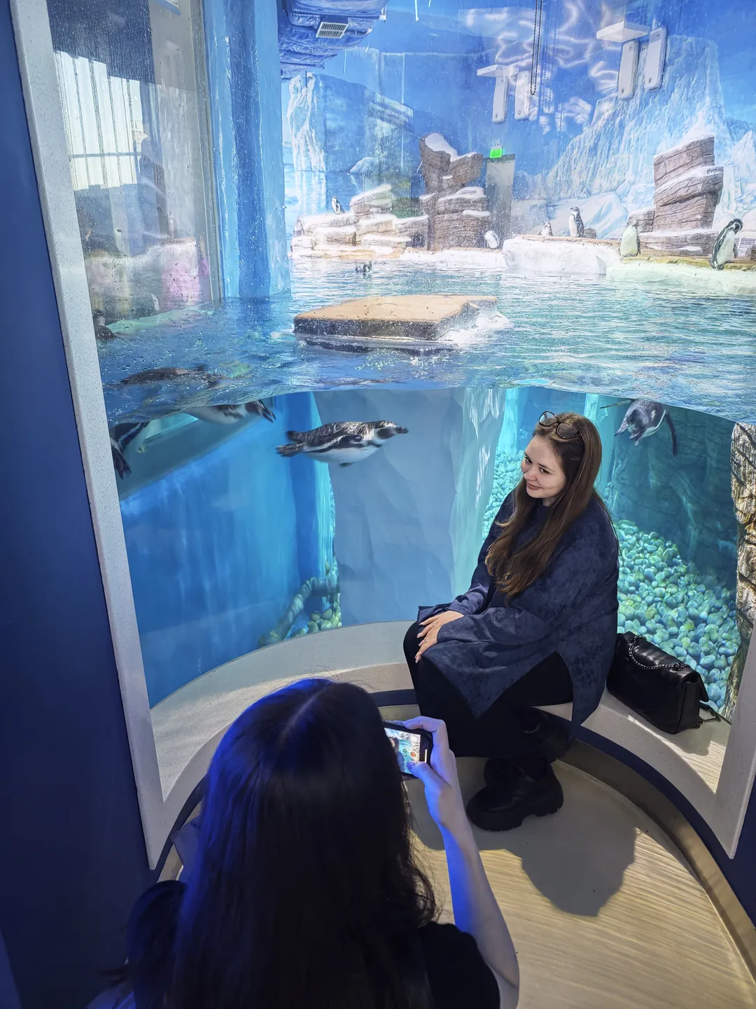 A lady sits on a bench in the aquarium, facing the glass window of the penguin exhibit. Another lady is using her phone to capture the scene. Soft lighting fills the aquarium as penguins glide freely through the water.