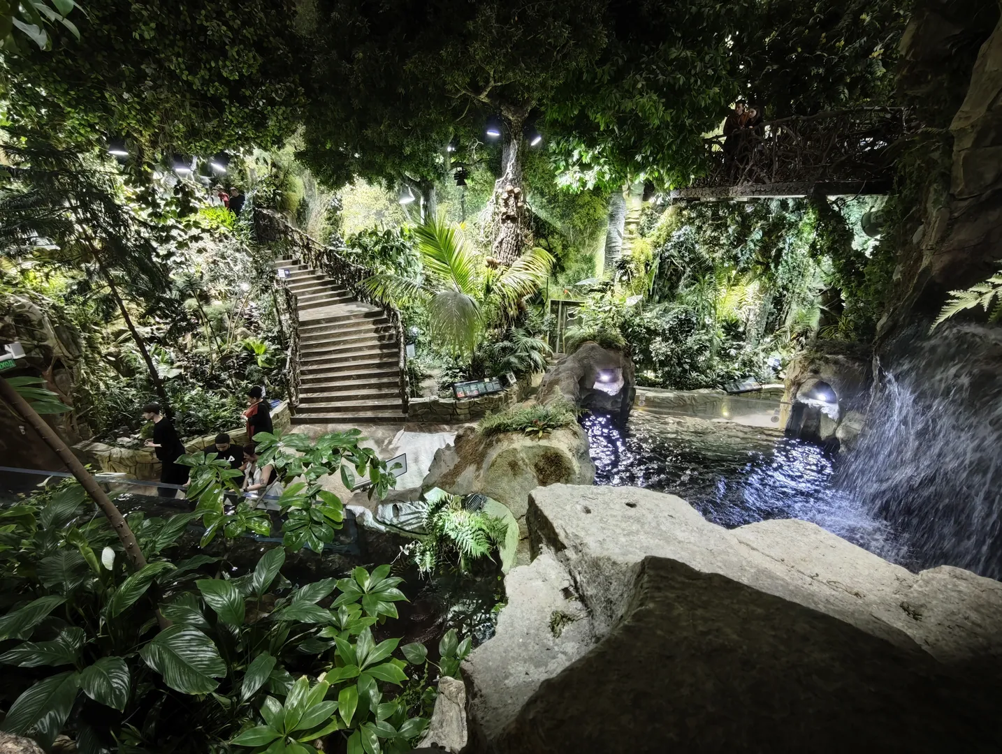 The indoor botanical garden is lush with greenery. In the center, there is a small stream and a waterfall, with water flowing down from the rocks. Steps lead to higher ground, surrounded by various tropical plants. The top is illuminated with lights, making the environment appear vibrant and full of life.