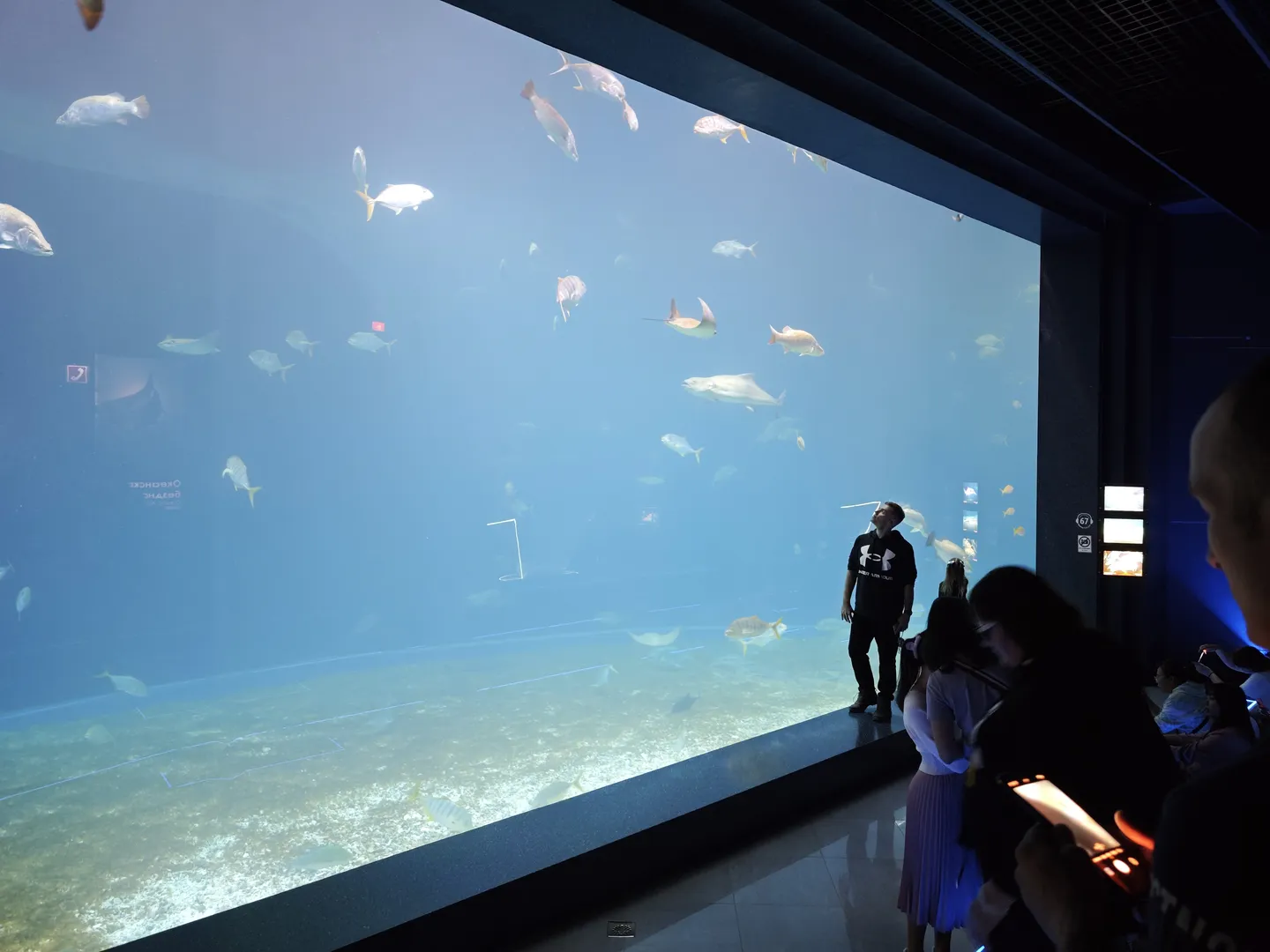 In front of the large aquarium exhibition area, some visitors gathered. Inside the aquarium, many fish are swimming, and the water surface is calm. A person wearing black clothes is standing in front of the aquarium, and on the right, someone is holding a phone and taking photos. The bottom of the aquarium has a sandy floor, and the fish species are diverse.