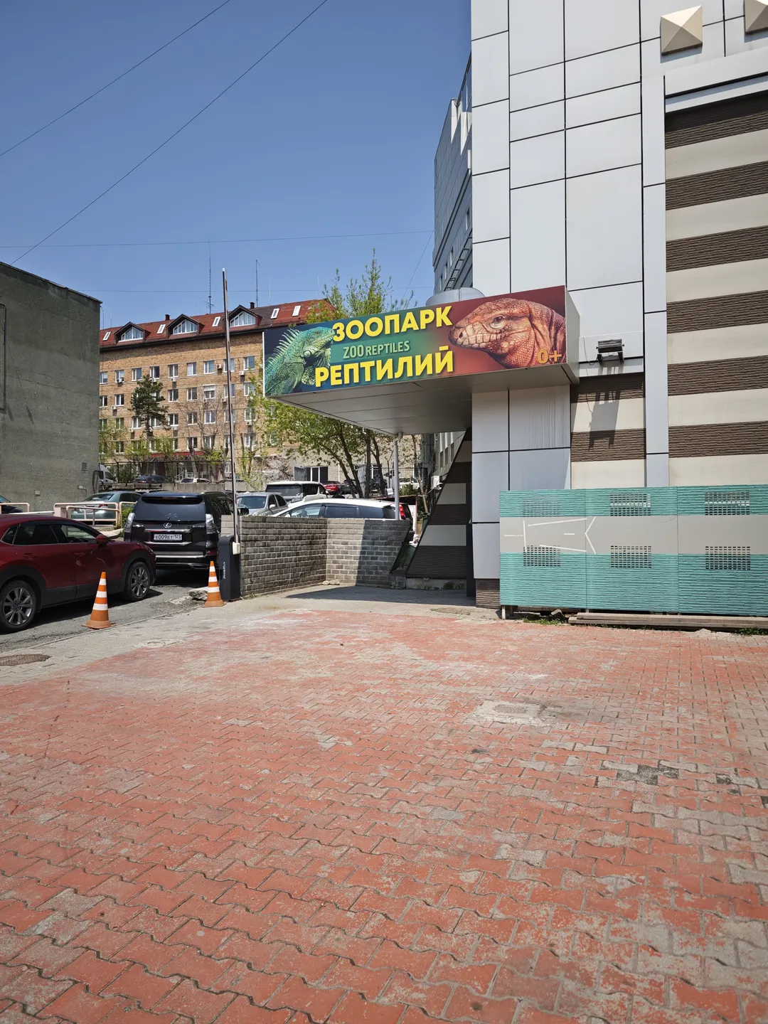 An entrance to a zoo labeled “ЗООПАРК ZOO REPTILES РЕПТИЛИЙ” with a parking area and orange traffic cones at the entrance. Trees and multi-story buildings are visible in the background.