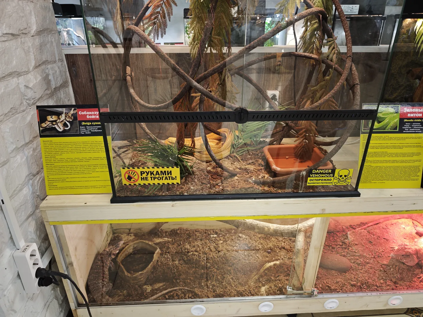Inside the glass display case are snakes and other reptiles, with warning signs on the case that read “РУКАМИ НЕ ТРОГАТЬ!” and “DANGER VENOMOUS”. The display case is divided into upper and lower levels, accompanied by informational plaques.