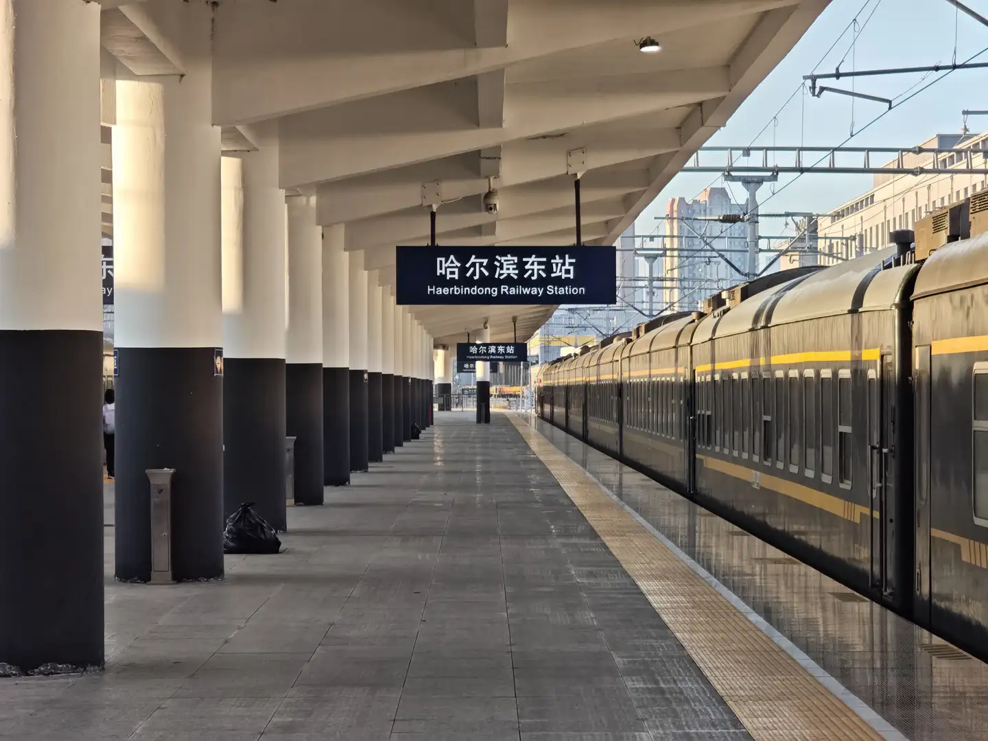 哈尔滨东站的站台上方悬挂着蓝色底白字的指示牌，写着“哈尔滨东站 Haerbindong Railway Station”。站台一侧停靠着一列深色带有黄色条纹的列车，地面铺设整齐的灰色地砖。白色顶棚由多根立柱支撑，部分立柱底部为黑色。