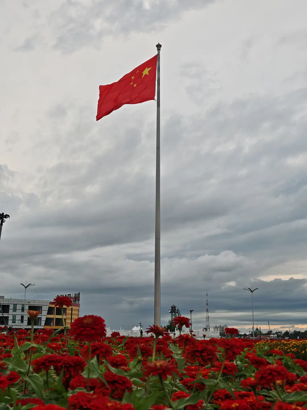 一面中国国旗在高高的旗杆上飘扬，旗面红色，左上角有五颗黄色五角星。旗杆下方是一片盛开的红色花朵，背景是阴云密布的天空和远处的建筑物。
