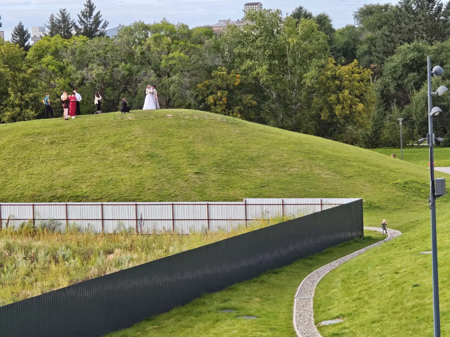 草坡上站着一对穿着婚纱礼服的新婚夫妇，周围有几位宾客，前方是一道黑色围栏和蜿蜒的小路，背景是茂密的树林。