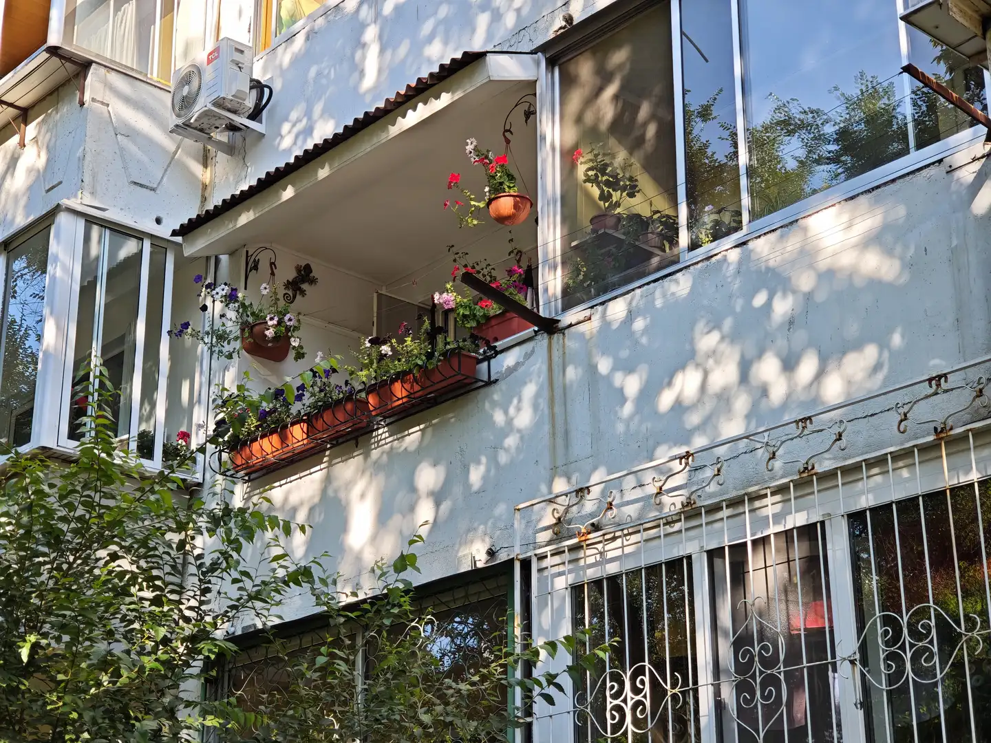 阳台上有许多花盆，种植着盛开的鲜花，阳光透过树叶在墙面上投下斑驳的影子。