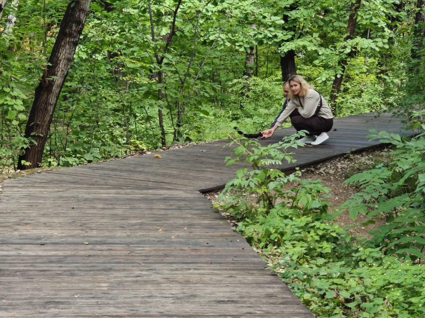 一条木质步道穿过树林，两侧长满绿植。一名女子蹲在步道边缘，伸手触摸地上的植物，身旁有一名男子部分可见。背景是茂密的树木和灌木丛。