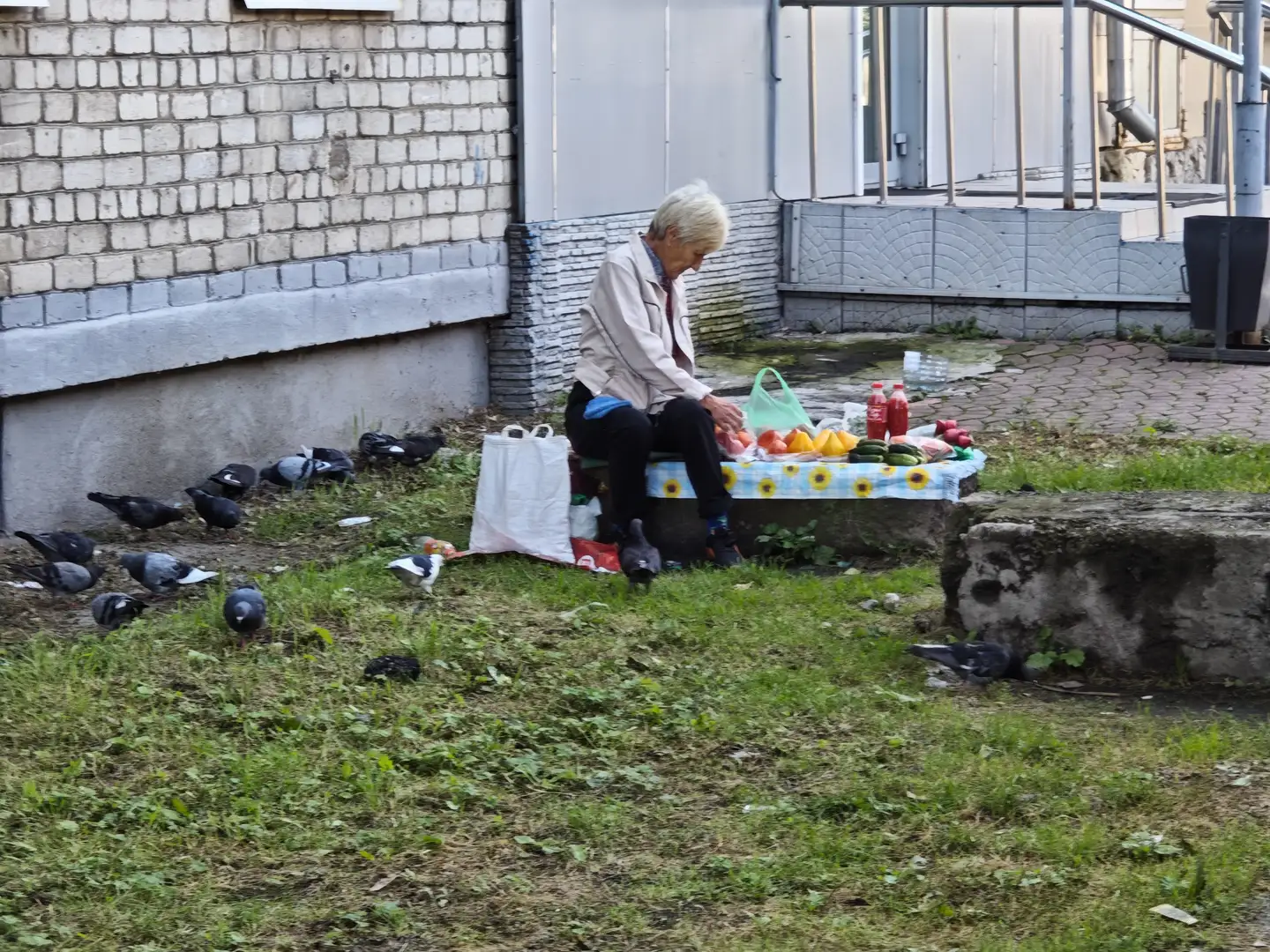 一位白发老人坐在小凳上整理水果，面前铺着花布，摆放着苹果、香蕉和黄瓜等。周围有许多鸽子在草地上觅食，背景是一堵白色砖墙和金属栏杆。