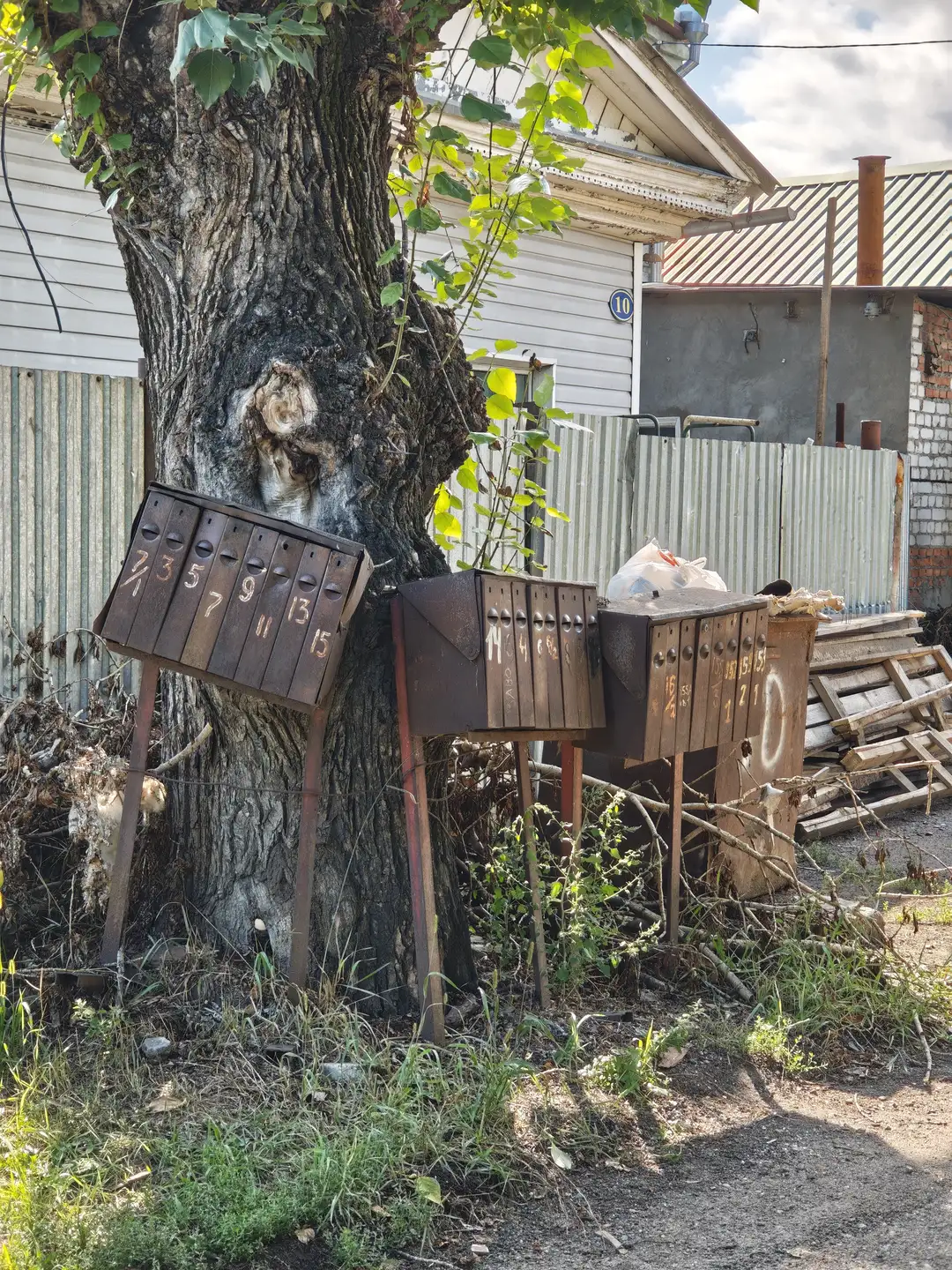 一棵大树旁立着三个木质信箱，每个信箱上标有数字，分别排列在不同高度的支架上。背景是白色房屋和铁皮围栏，地面杂草丛生，堆放着木板和杂物。