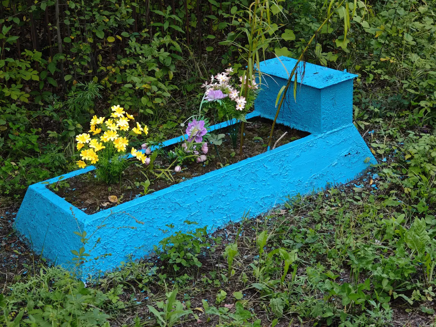 蓝色的花坛中种植着黄色和紫色的花朵，周围被绿色植物环绕。花坛呈长方形，表面有粗糙的纹理。花坛的一侧有一个小台阶，整体位于一片茂密的植被中。