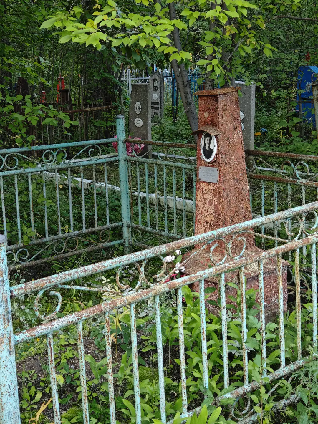 锈迹斑斑的铁栅栏围住了一座墓碑，墓碑上有一个圆形的相框，里面是一张黑白照片。栅栏呈现出蓝绿色的旧漆，周围长满了杂草和绿叶植物。背景中可以看到其他墓碑和树木。