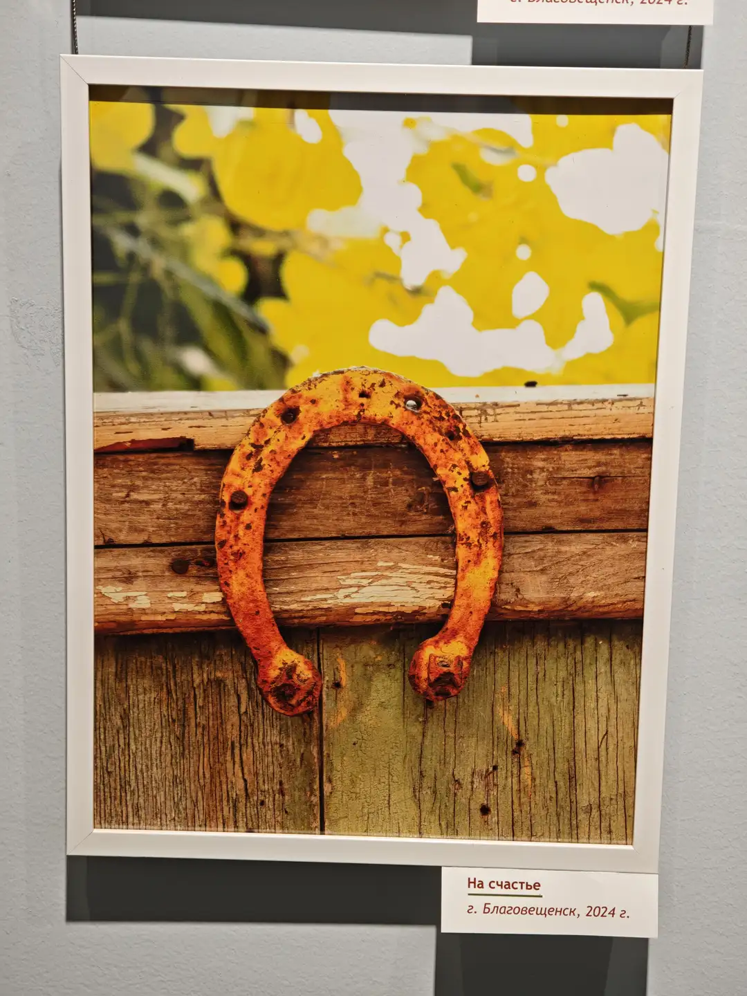 一张挂在墙上的照片，画面中央是一个生锈的马蹄铁，悬挂在木板上。背景是黄色的树叶，阳光透过树叶形成斑驳光影。照片下方标注为“На счастье г. Благовещенск, 2024 г.”