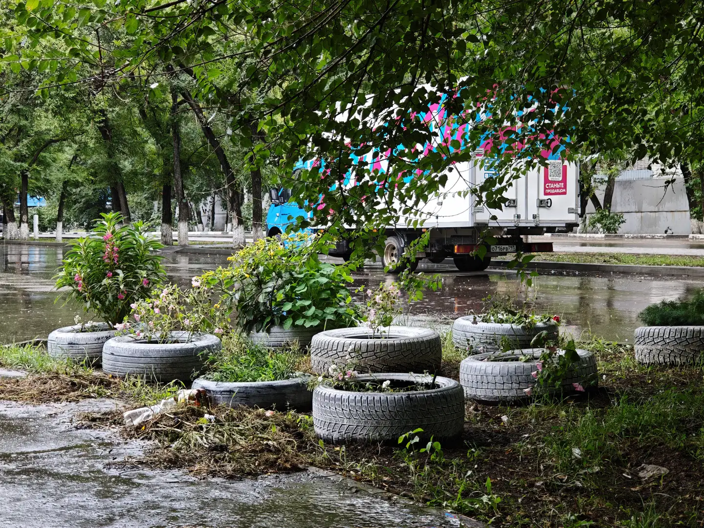 用旧轮胎做成的花盆里种着各种植物，周围是湿润的草地和落叶。背景中有一辆装饰着彩色图案的卡车停在树荫下。地面上有积水，反映出阴天的天空。