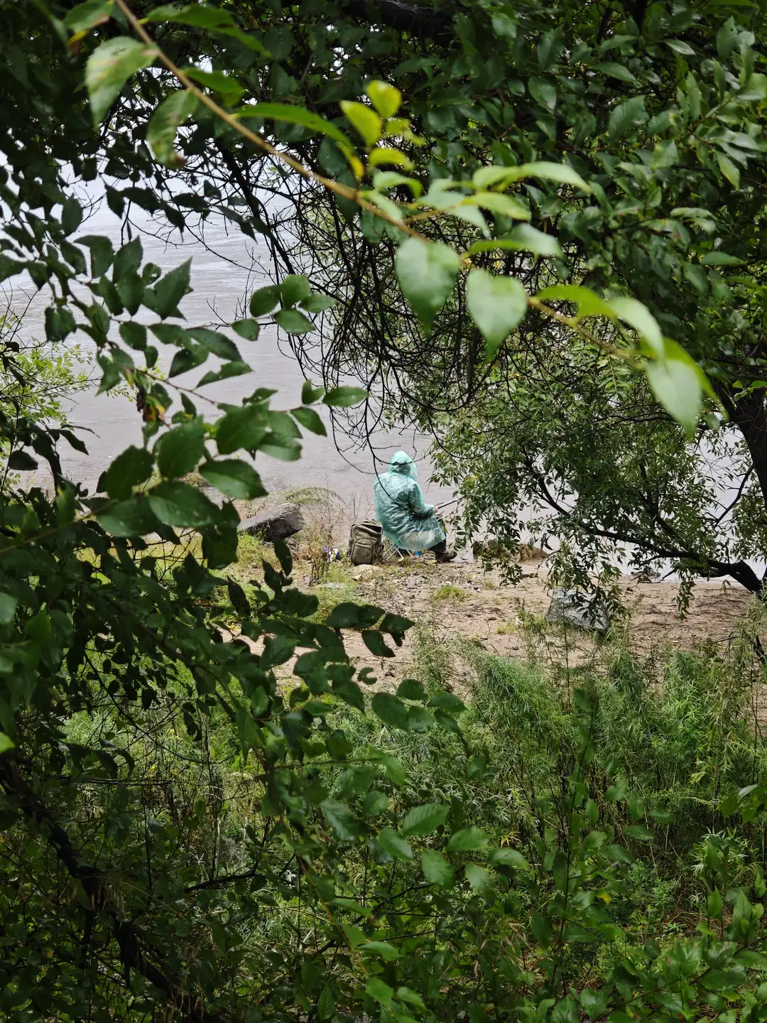 一个人穿着绿色雨衣坐在河边钓鱼，背对镜头。周围是茂密的树枝和灌木，河面平静。地面是泥沙混合的岸边，环境显得安静而自然。