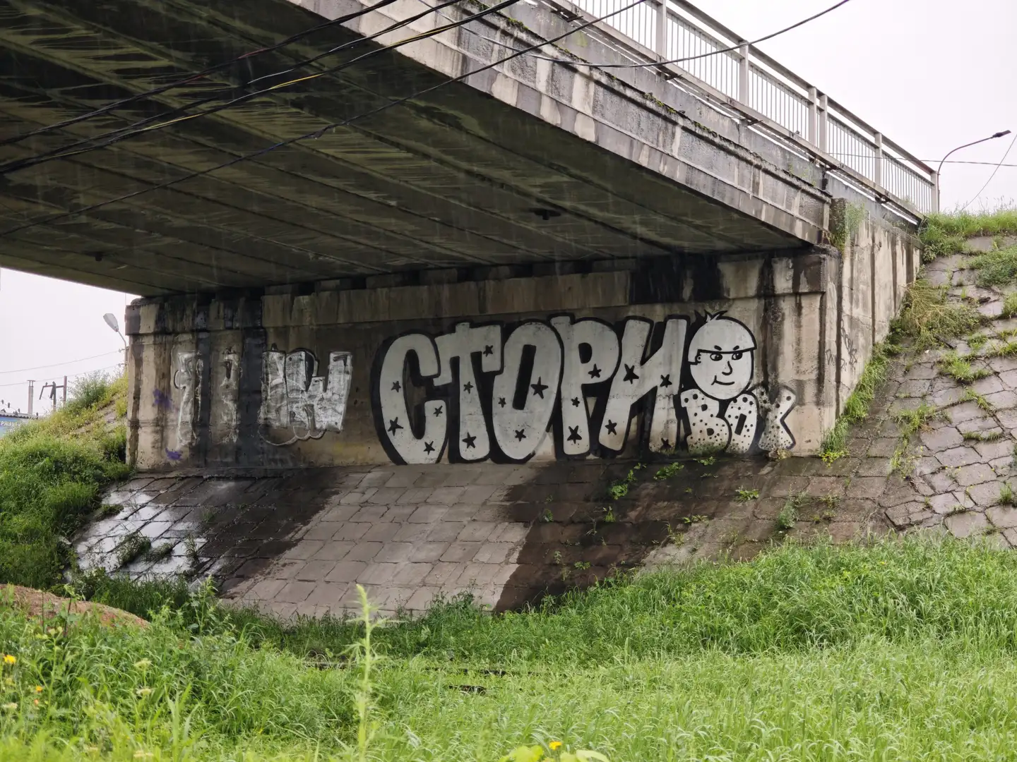 桥墩上涂有大字“СТОРИ”，旁边是一个戴眼镜的卡通人物涂鸦。桥下是铺砌的地面，部分被雨水打湿。周围长满青草和野花，环境略显荒凉。