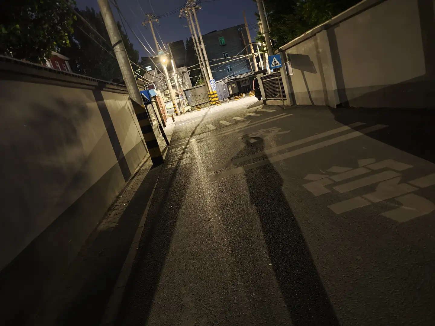 夜晚的街道两旁墙壁高耸，地面铺有沥青，路灯投下长长的影子。前方有一个斑马线标志，街道尽头可见一些建筑物。整体环境显得宁静而幽暗。