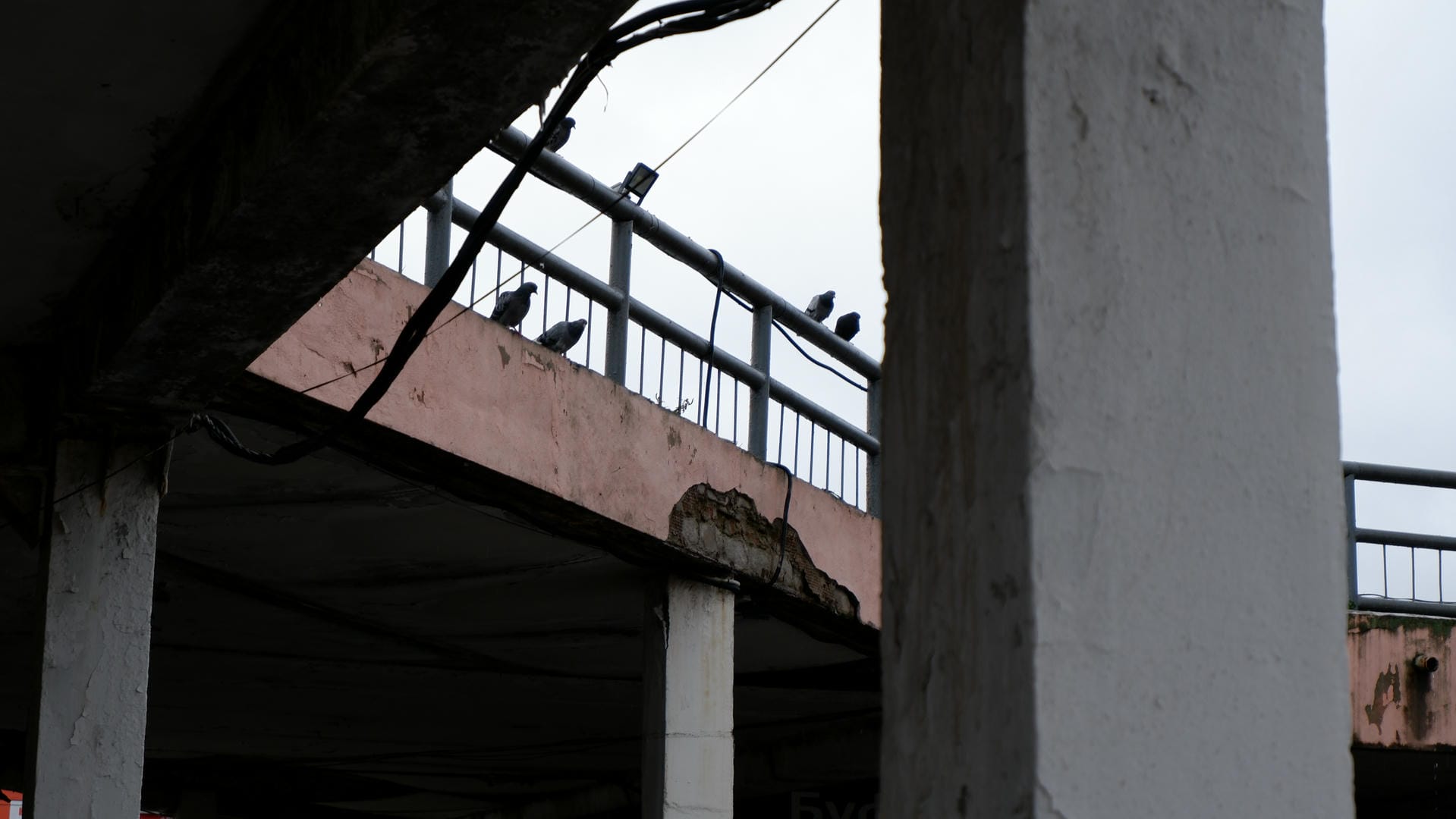 A multi-story building with multiple billboards on its facade, several cars parked in the parking lot.