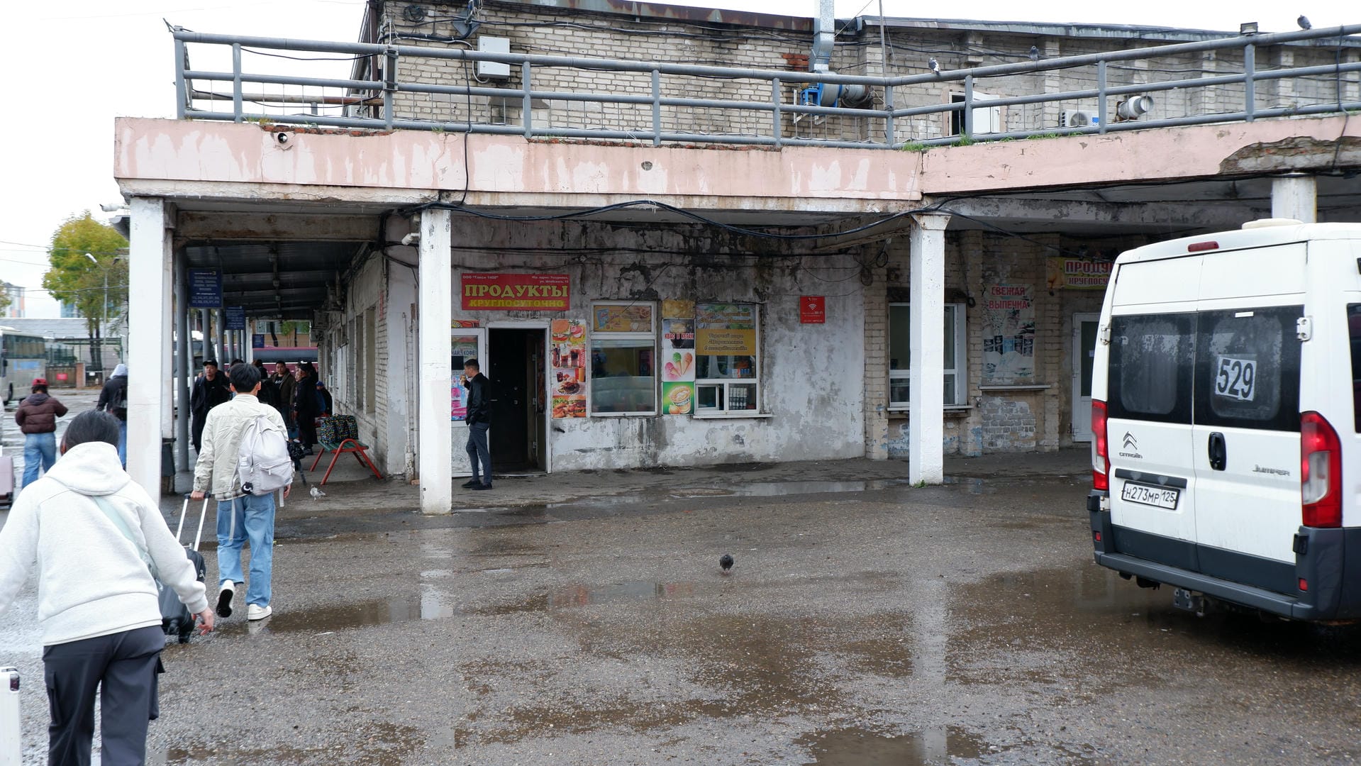 Pigeons roosting on a railing against a gloomy sky background.