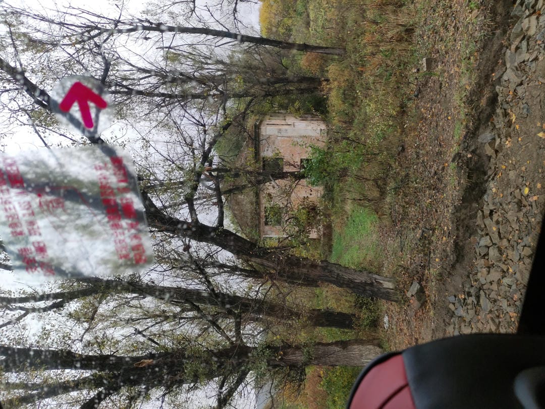 Through car window: a small house surrounded by bare trees.