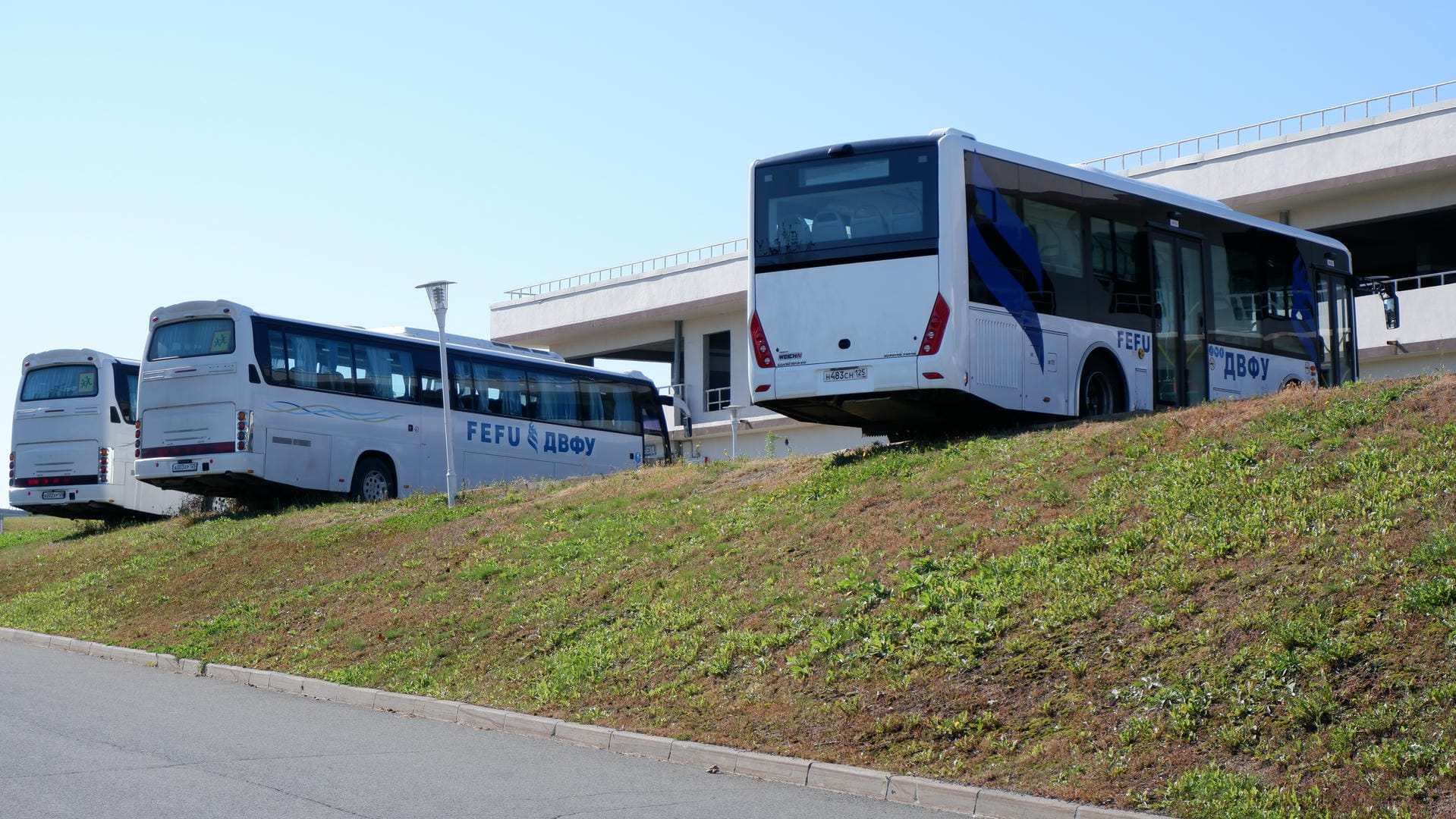 Three white buses marked “FEFU ДВФУ” parked on slope.