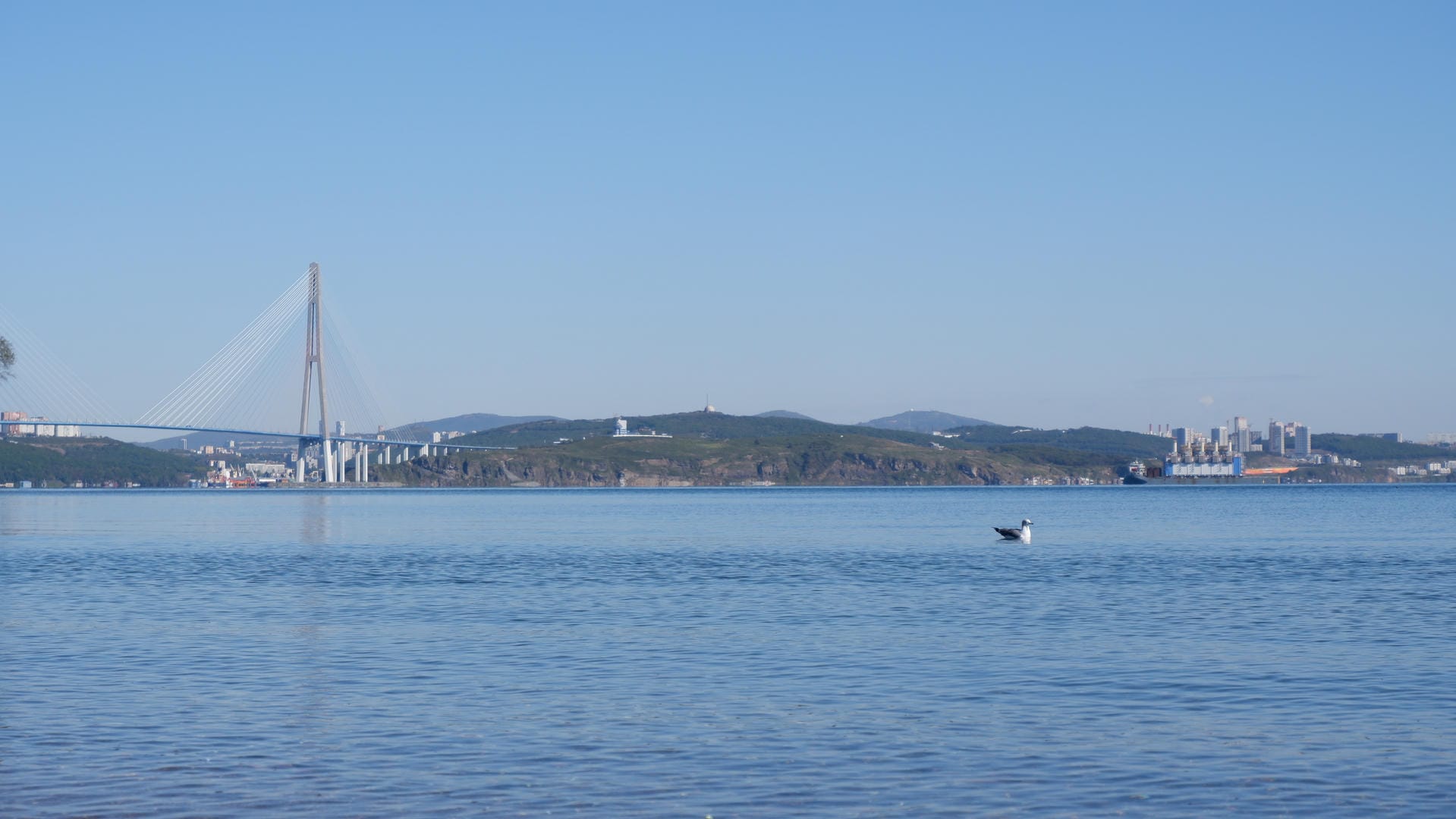 Bridge spanning sea with bird floating on water below.