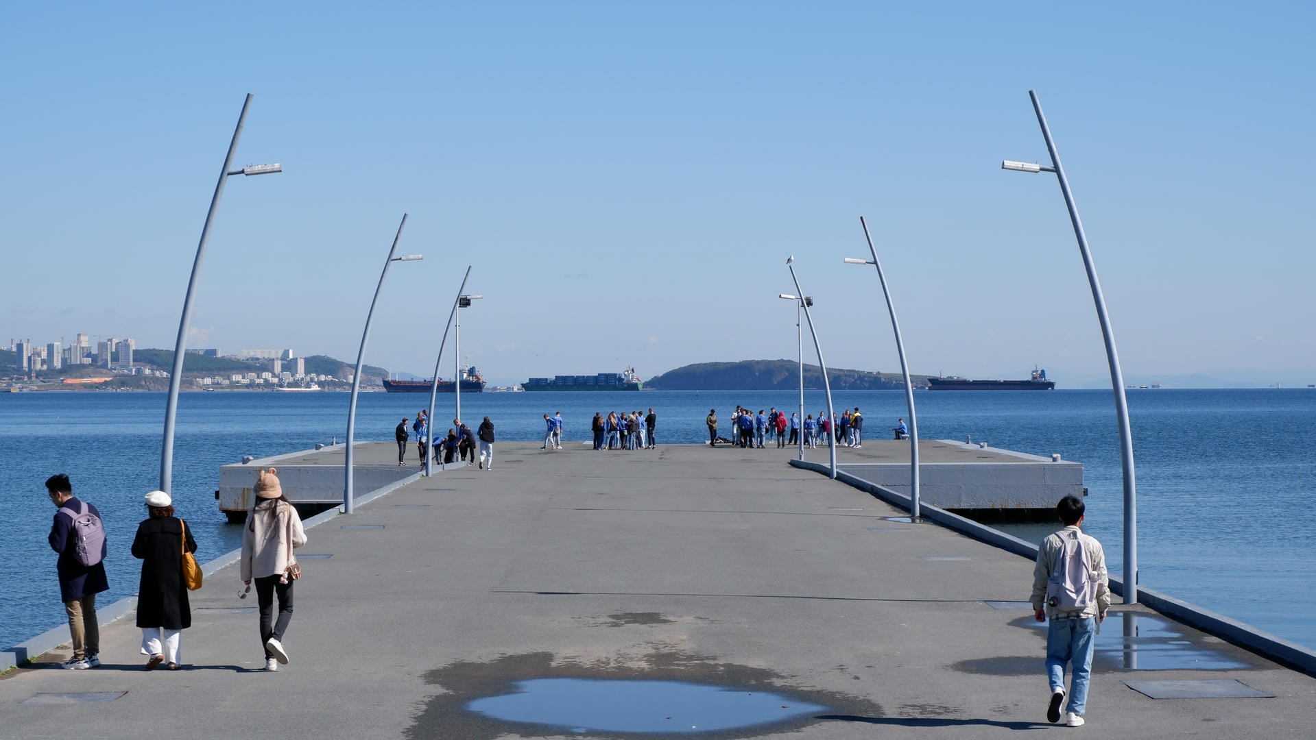 Crowd gathered at dock with large ships visible in distance.
