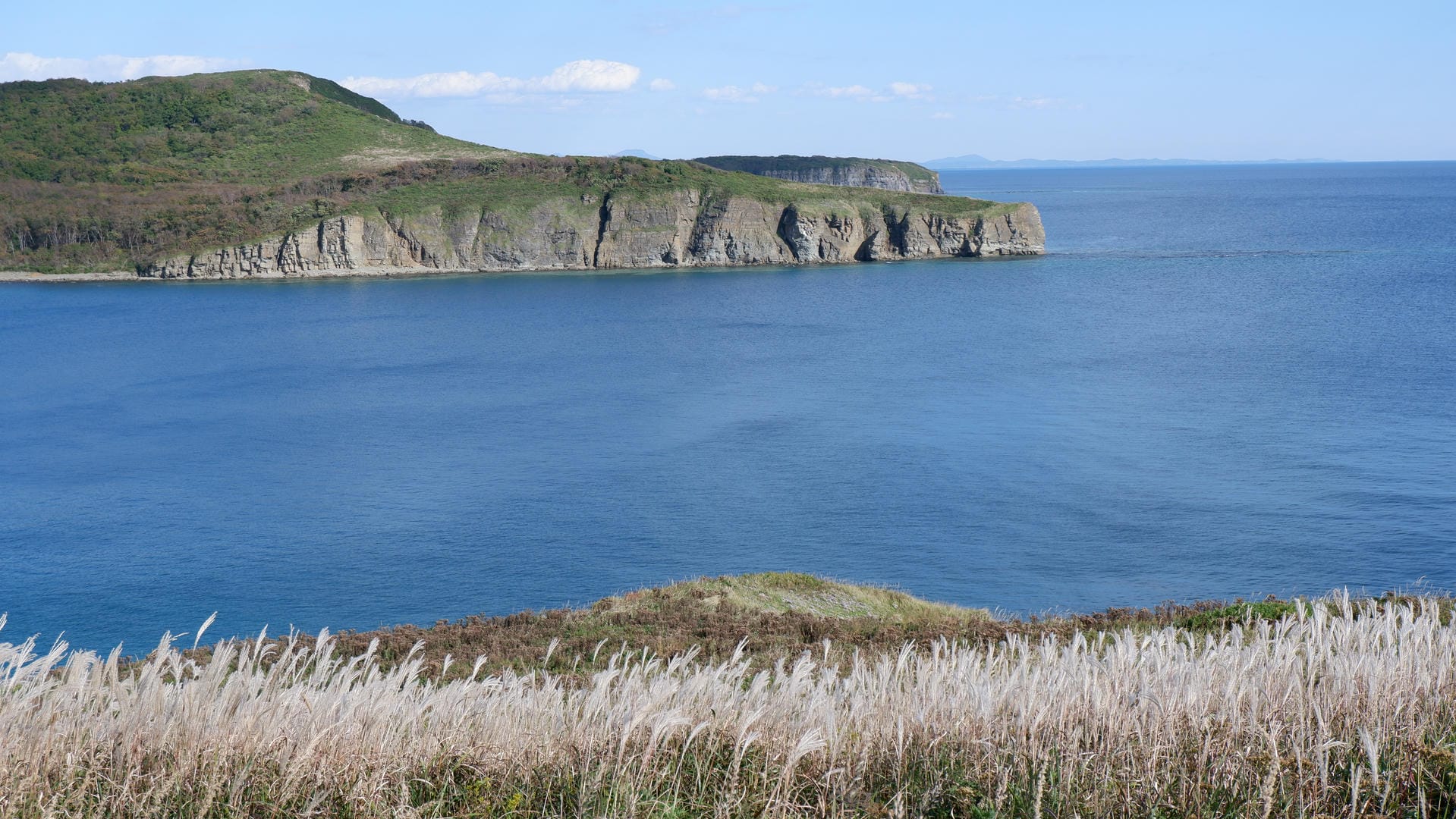 Blue sea and cliffs with silvery grass in foreground.