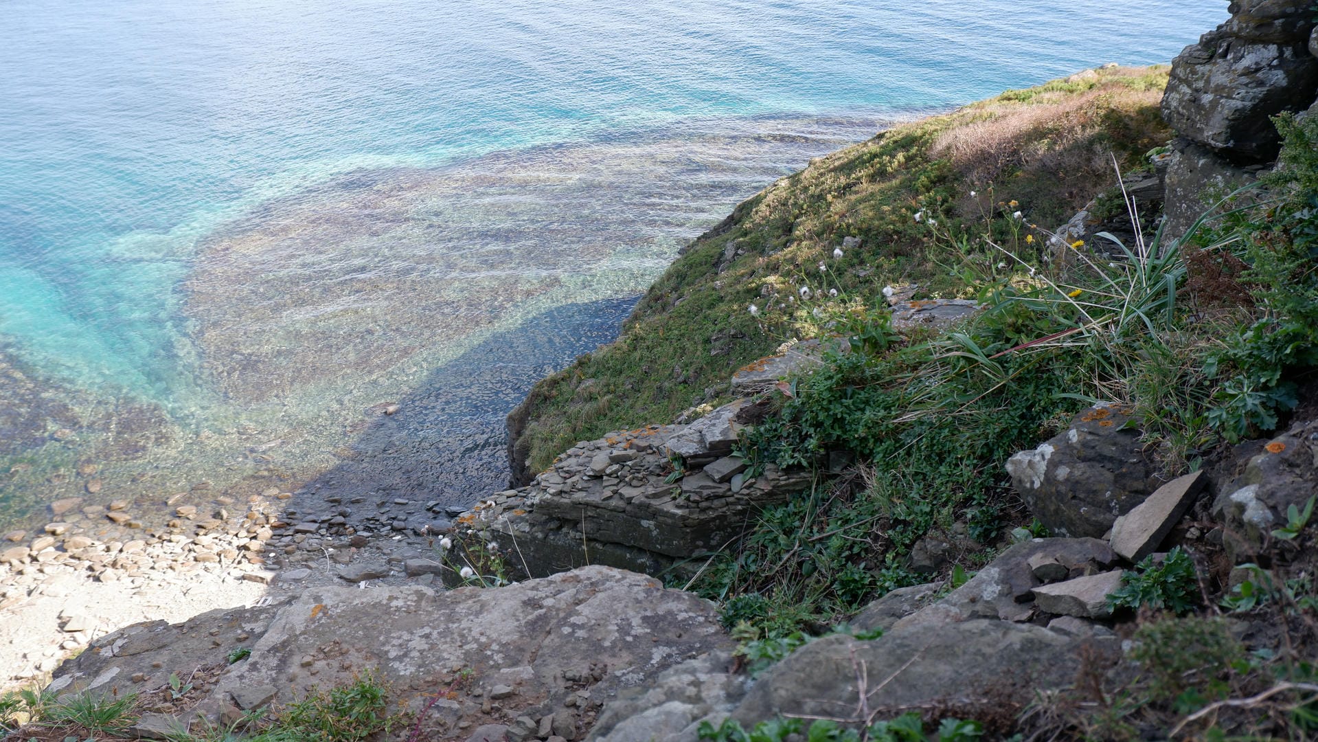 Clear waves hitting rocky shore with green vegetation.