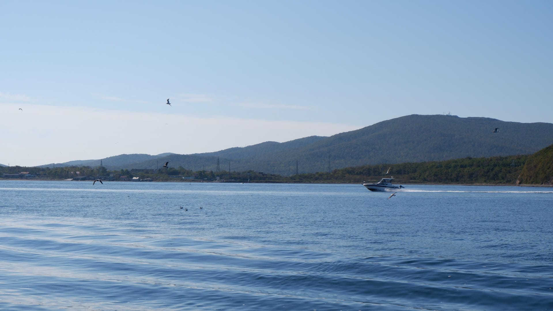A boat sails on calm waters, with mountains and flying birds in the distance.