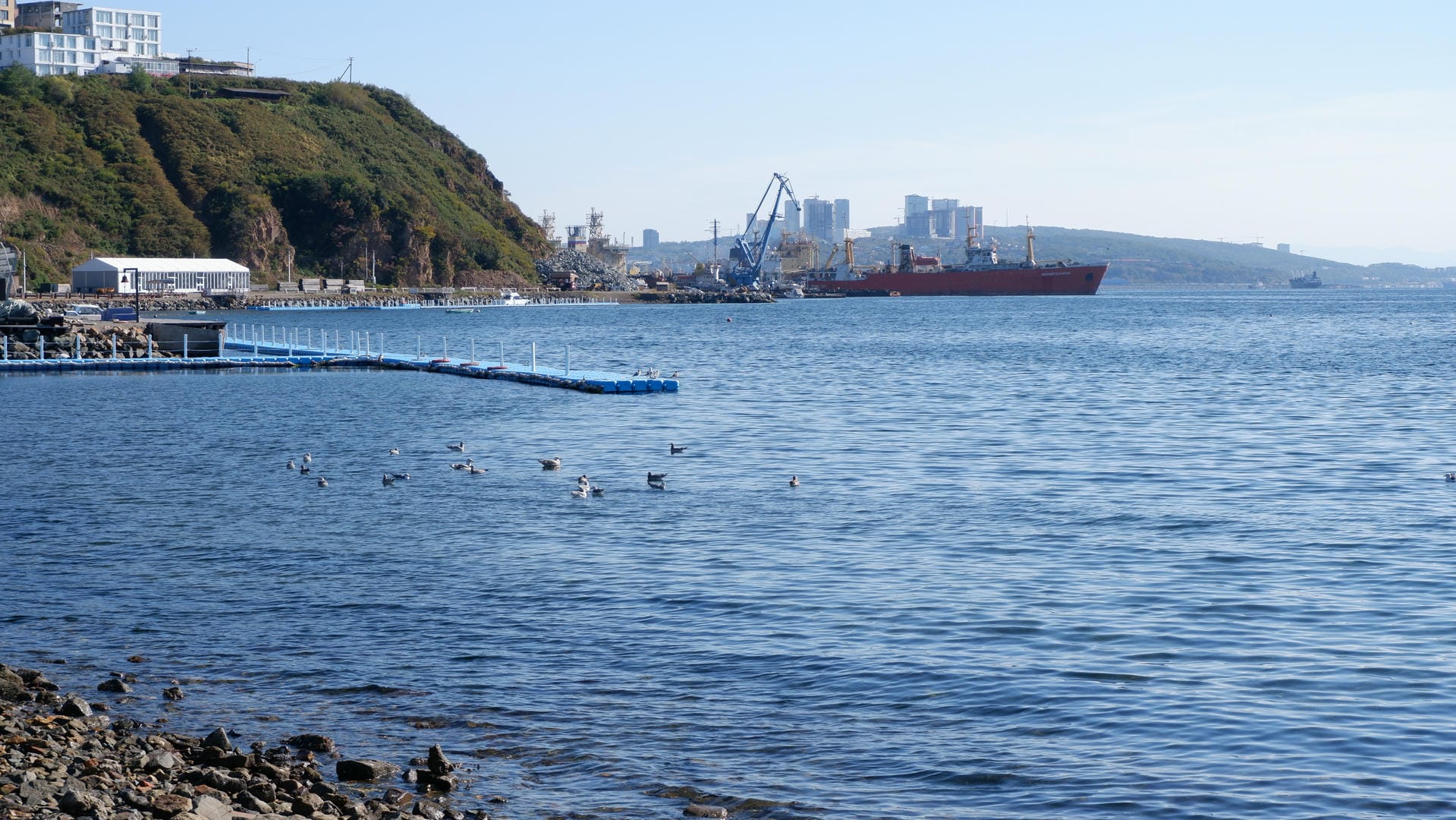 A large cargo ship is docked at the port, surrounded by cranes and buildings, with seagulls floating on the water nearby.