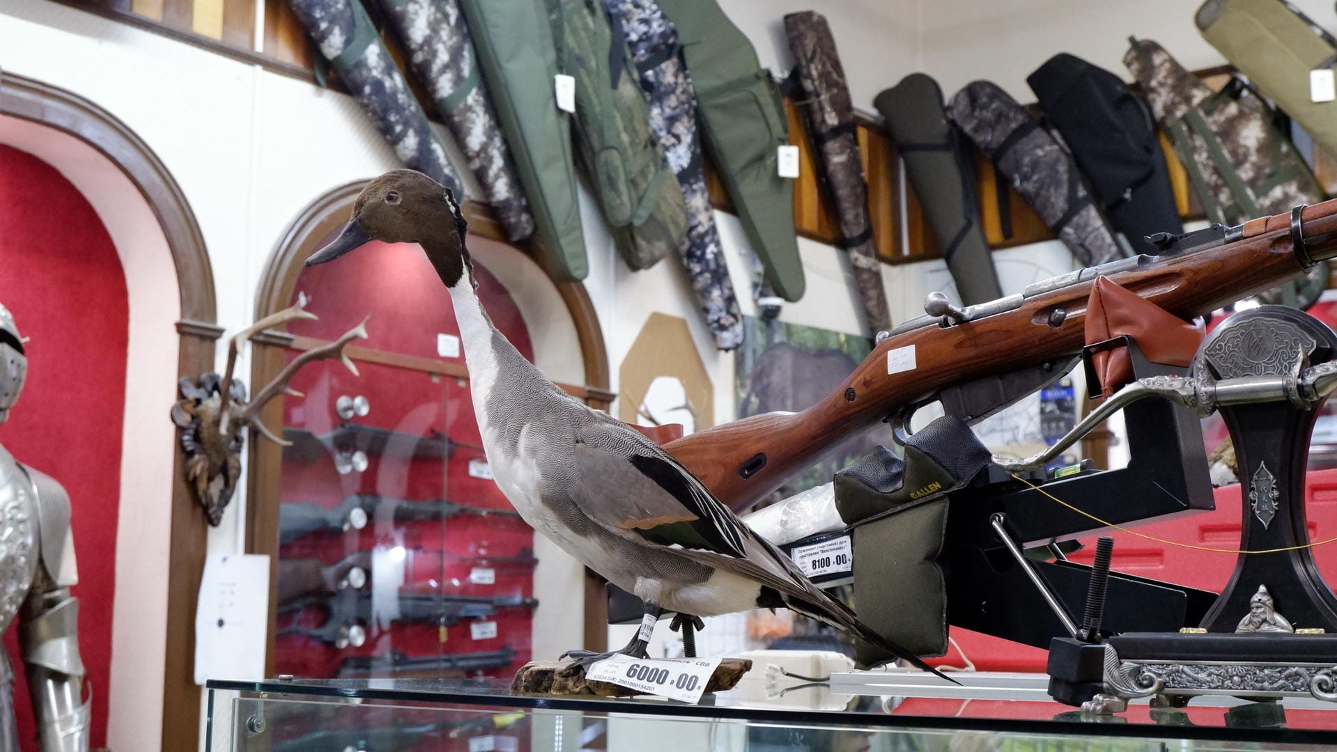 A taxidermy duck stands on a glass counter next to a rifle, with various firearms and equipment in the background.